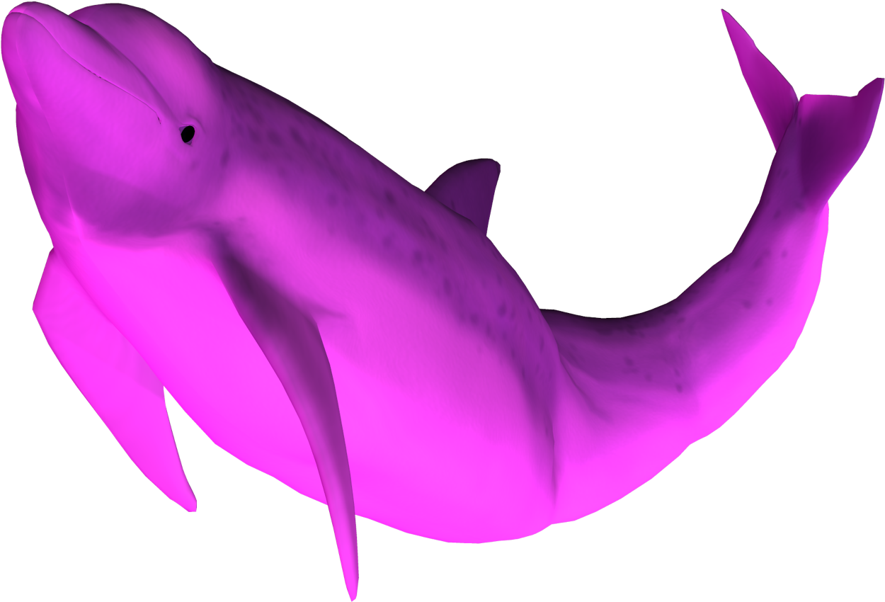 Modelo de Ballena D Rosa 3 Fondos de pantalla