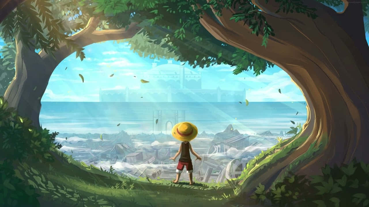 Imágenes de One Piece