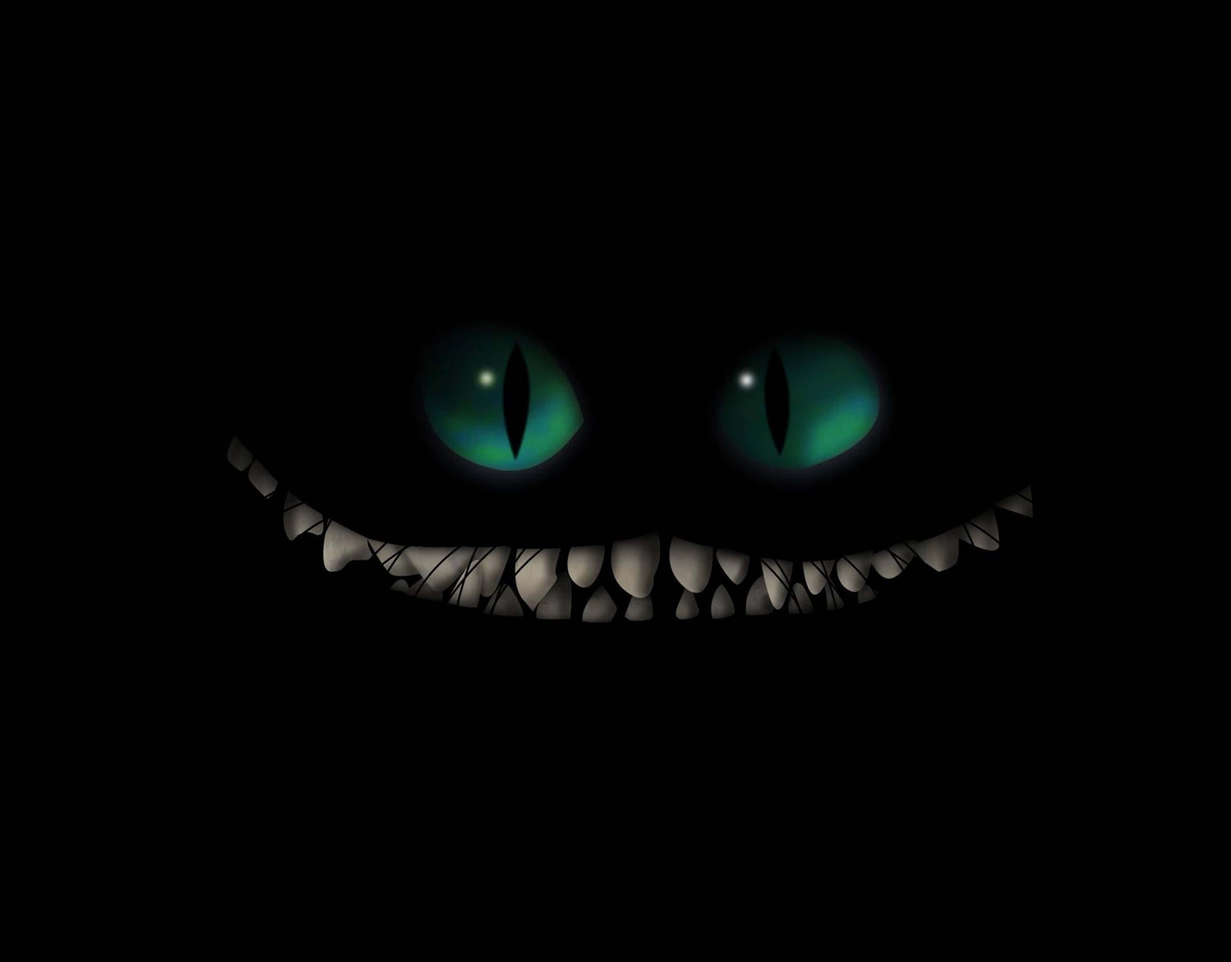 Monstruo Cheshire 4K Ultra HD Fondos de pantalla