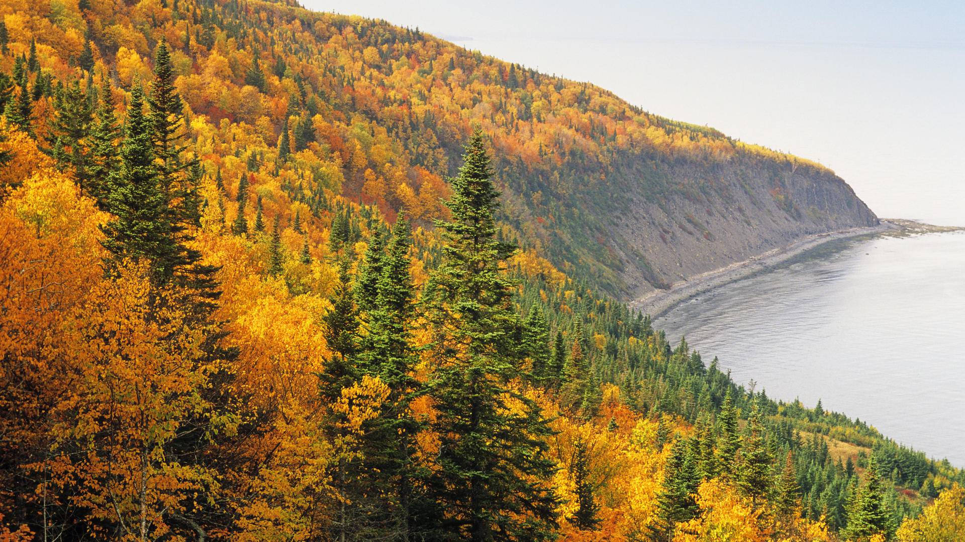 Montaña de la Ciudad de Quebec Fondos de pantalla