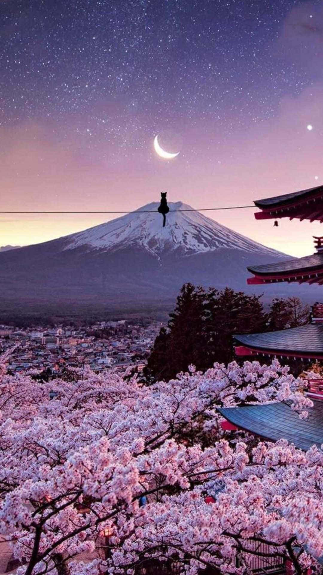 Monte Fuji y Cerezos en Flor para iPhone Japonés Fondos de pantalla