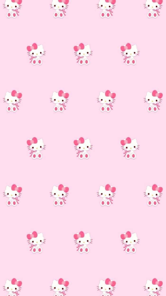Montón de lindos Hello Kitty rosas Fondos de pantalla