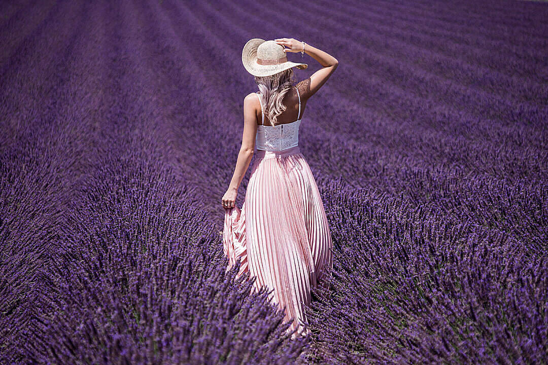 Mujer con estética lavanda en el campo Fondos de pantalla