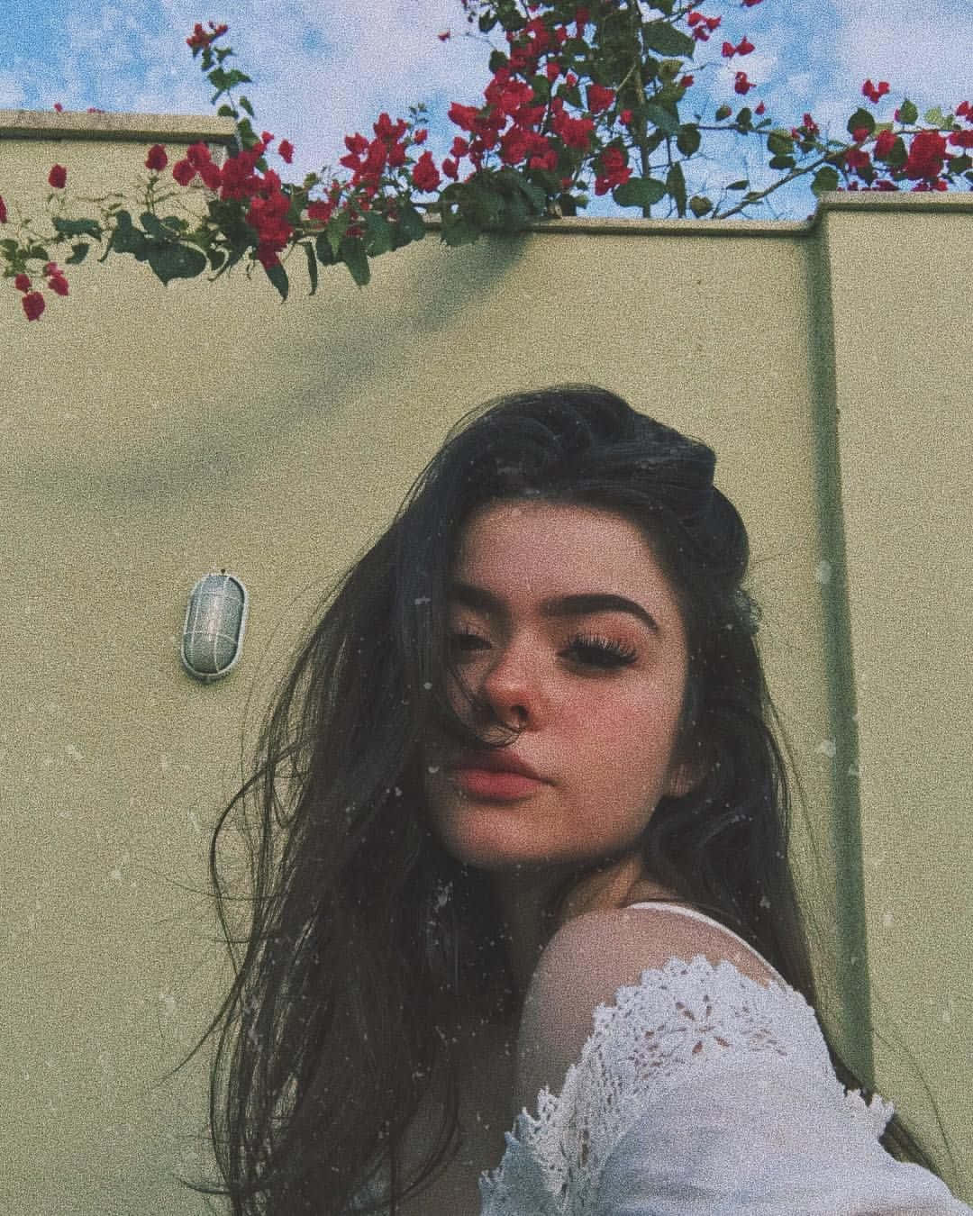 Mujer joven y hermosa descansando en un campo de flores. Fondos de pantalla