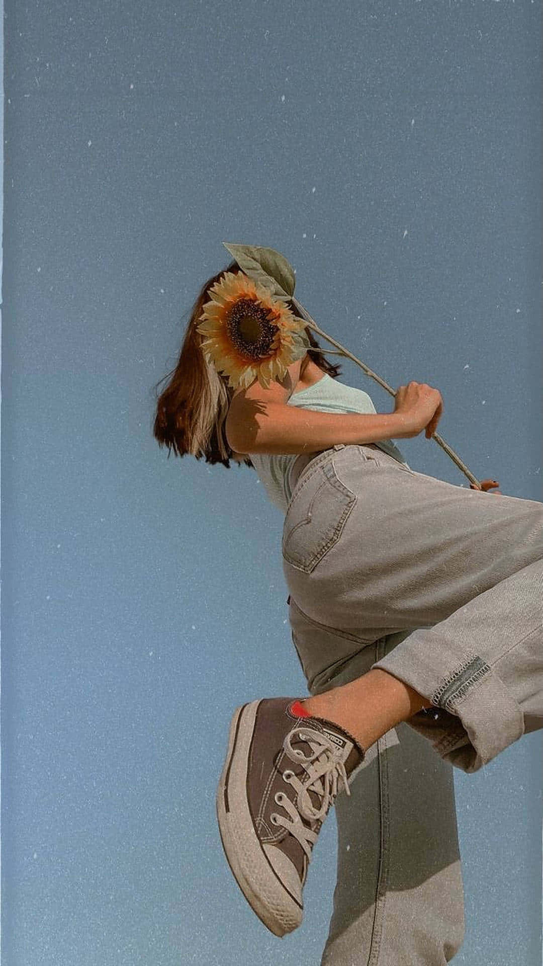 Mujer sosteniendo un girasol, foto de perfil adorable Fondos de pantalla
