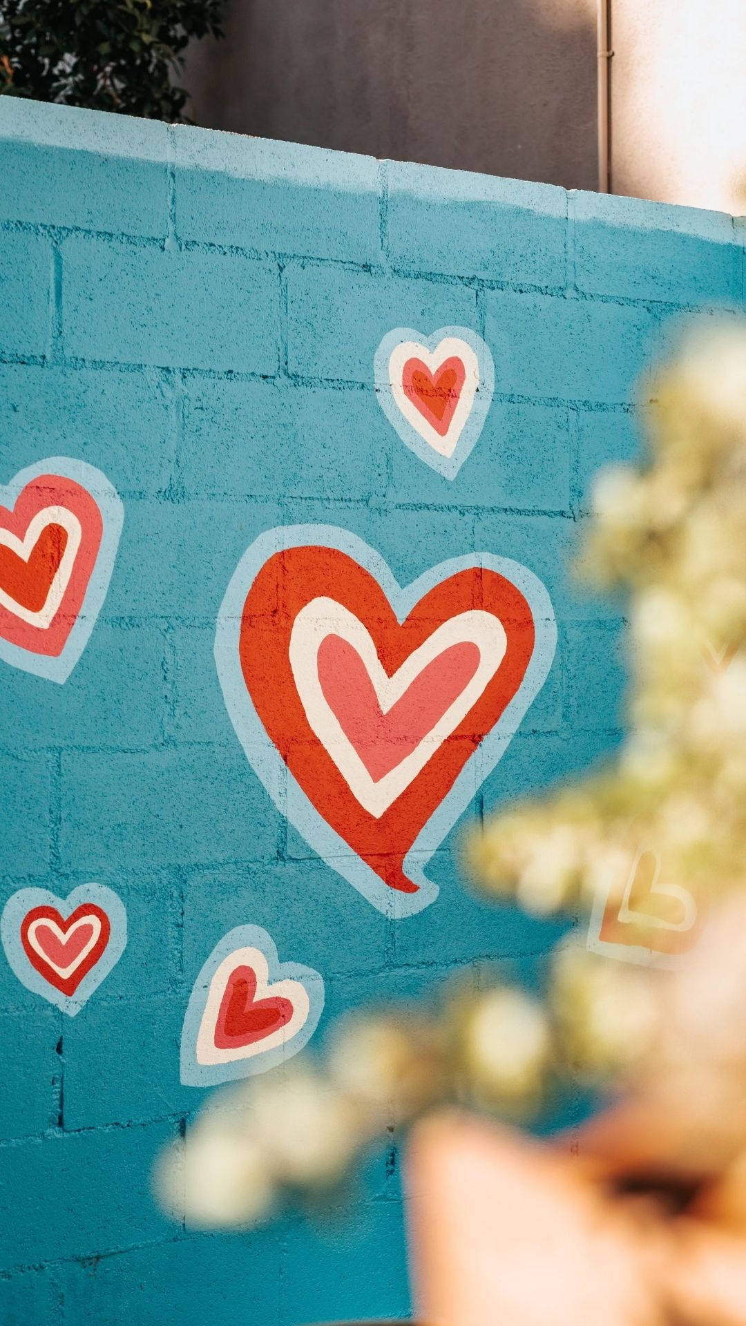 Muro Estético de Amor Fondos de pantalla