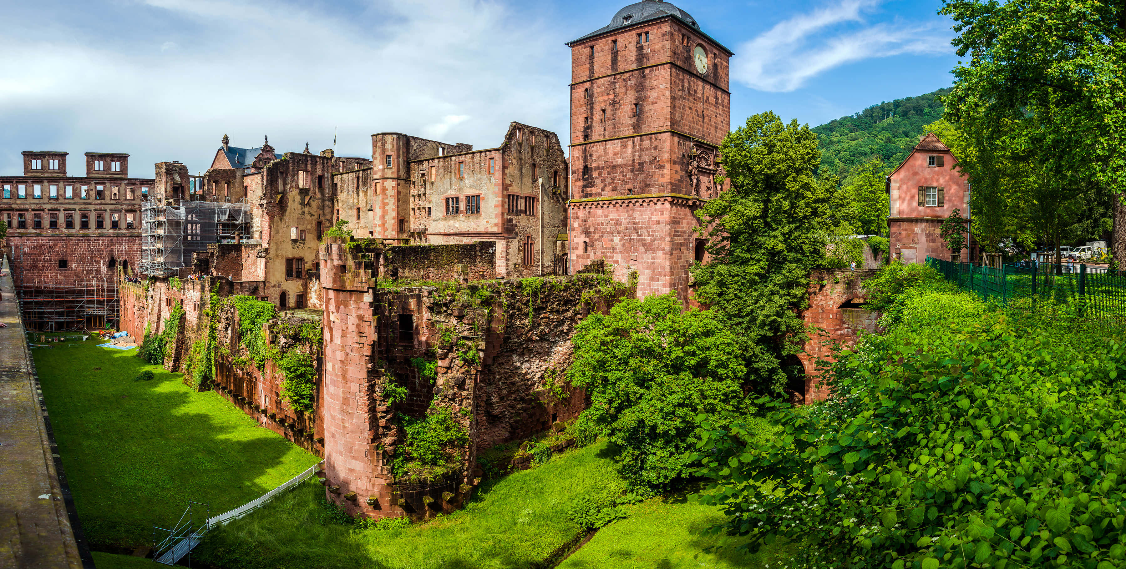 Musgo verde del Castillo de Heidelberg Fondos de pantalla