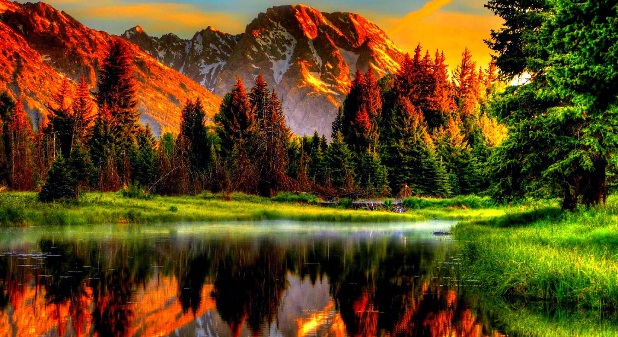 Naturaleza 4K en la Hora Dorada Fondos de pantalla