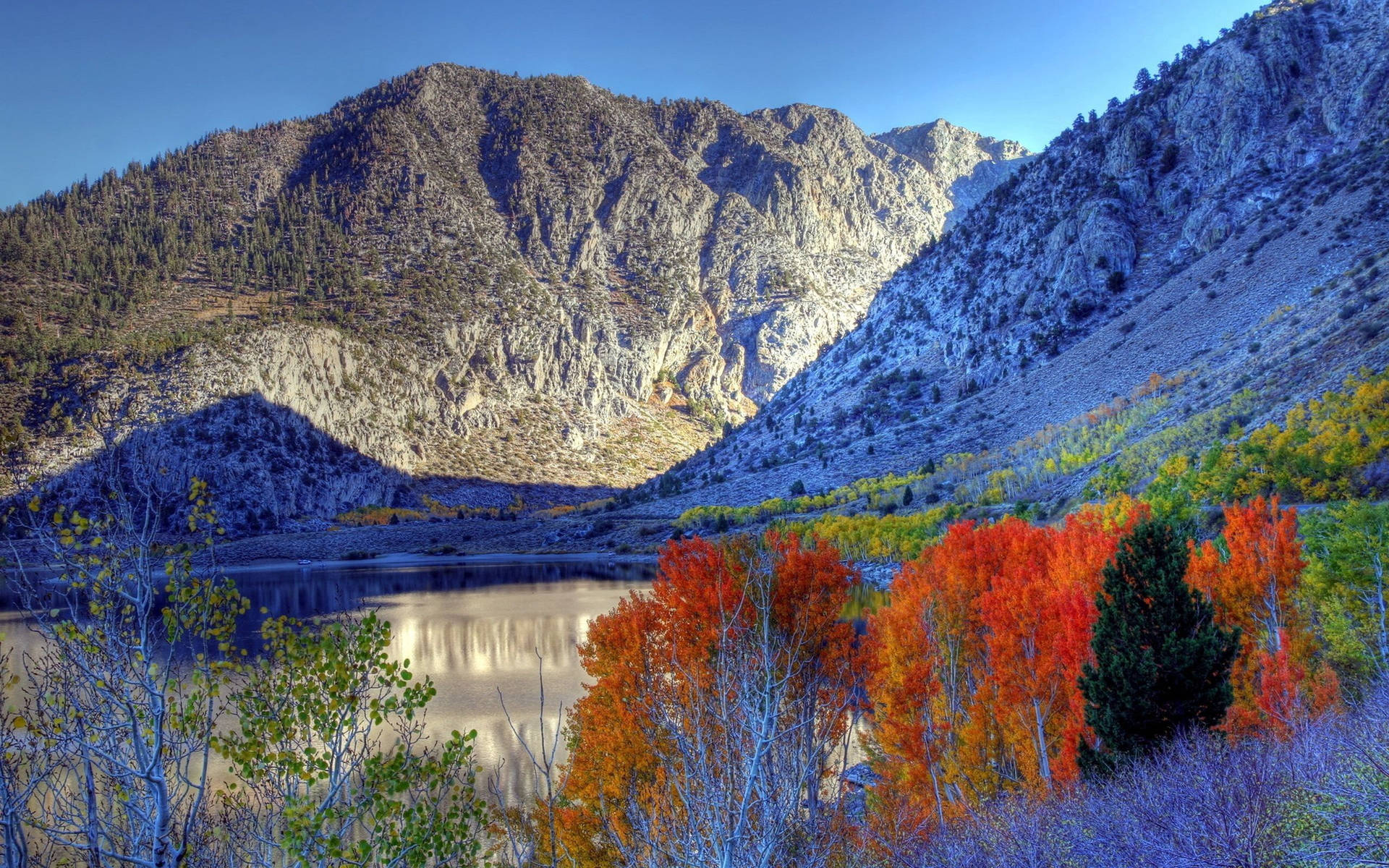Fondo de pantalla de Naturaleza de Montaña Fría