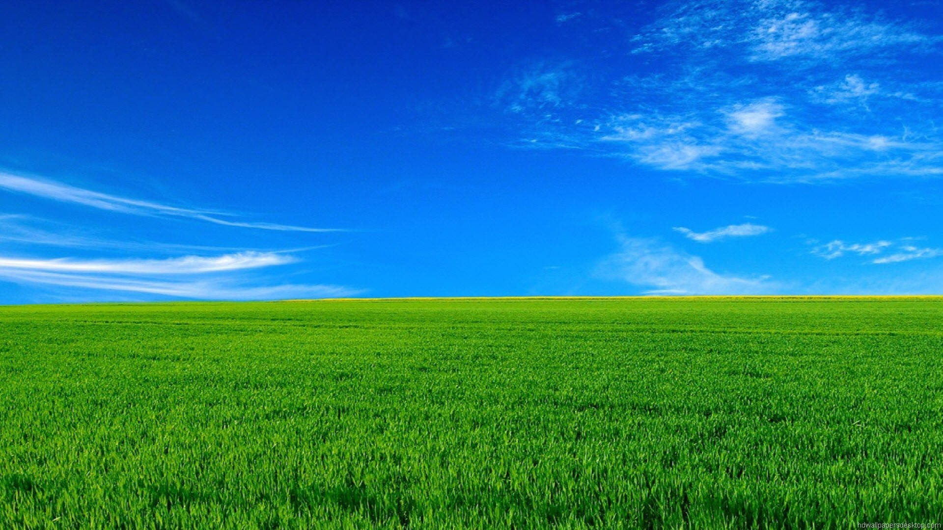Naturaleza en Full HD 1920x1080: Césped Verde y Cielo Azul Fondos de pantalla
