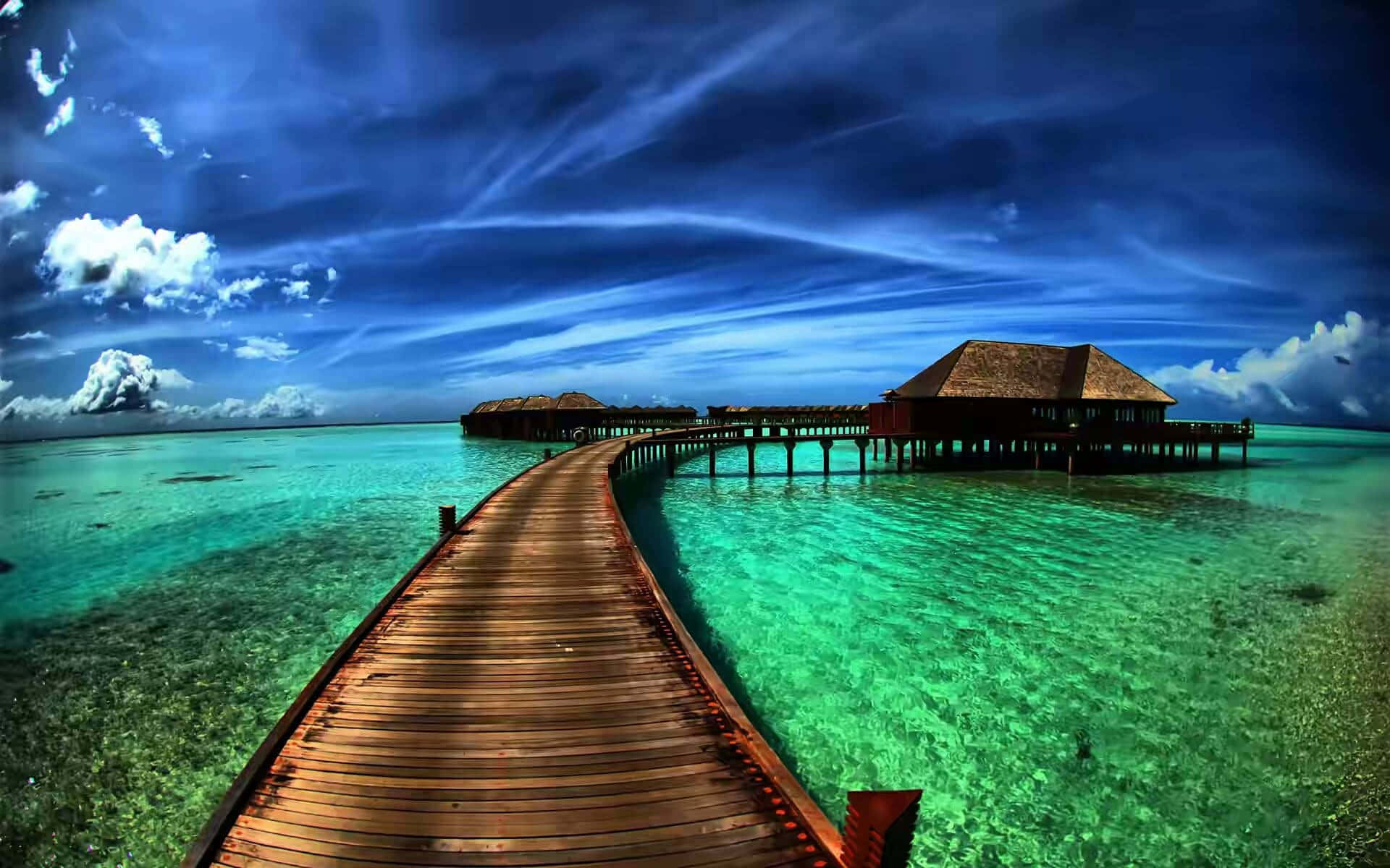 Naturaleza Estética