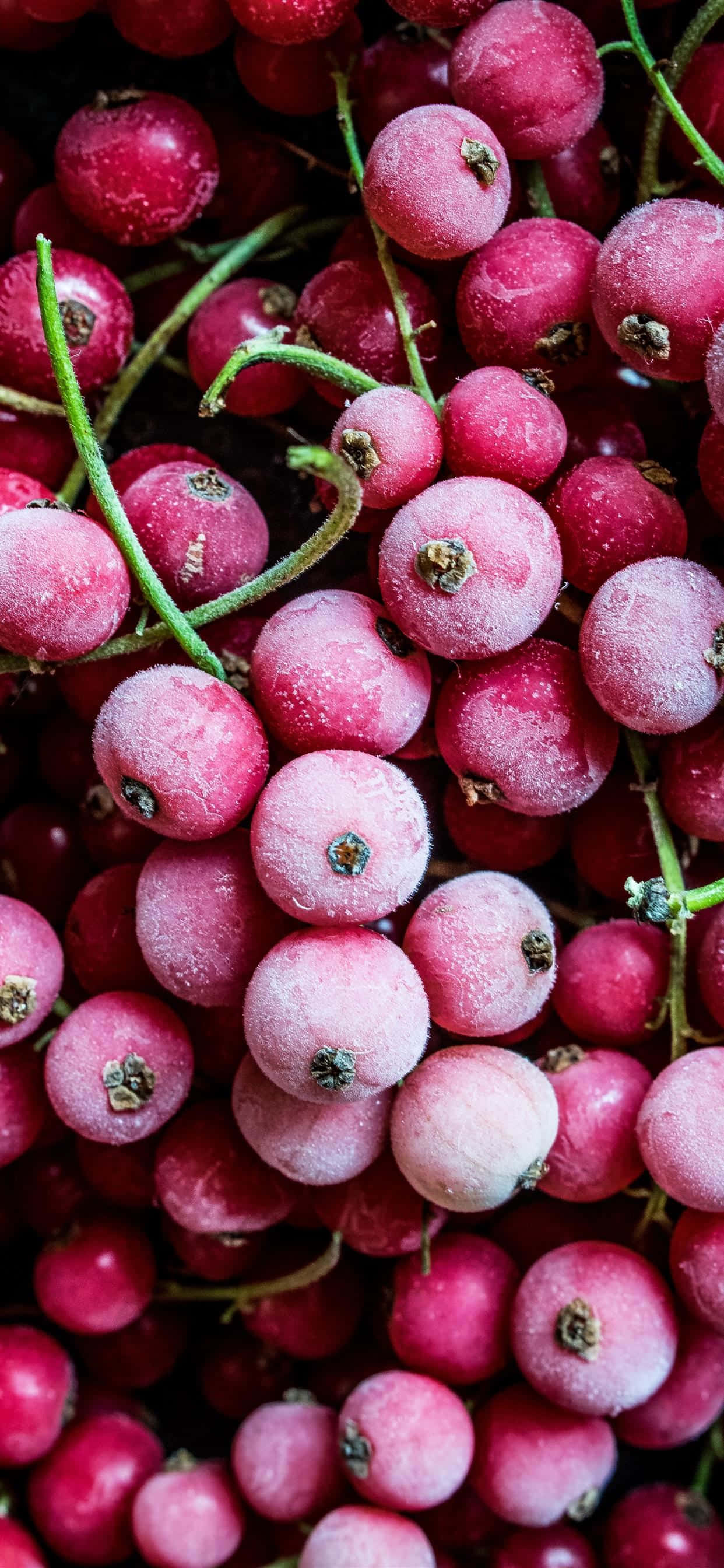 Naturaleza muerta de frutas frescas variadas Fondos de pantalla