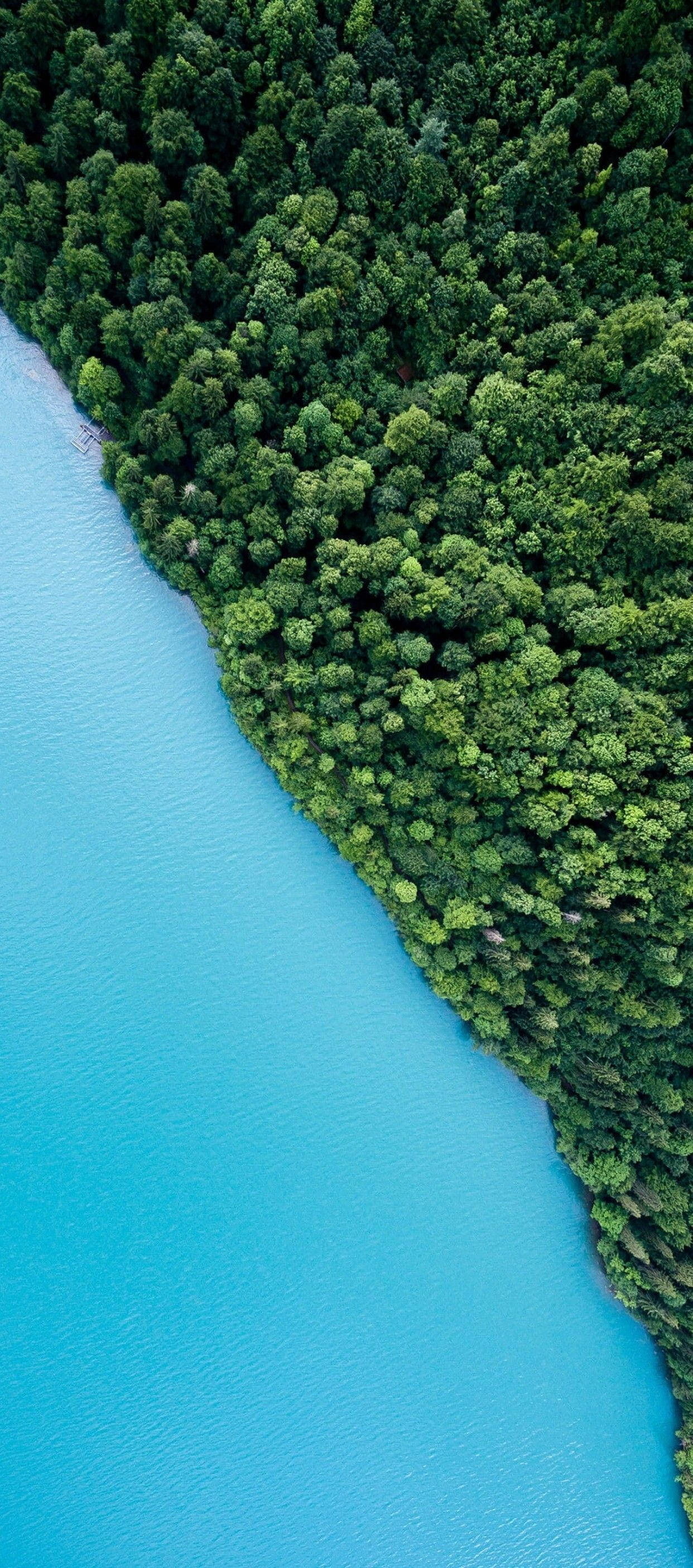 Naturaleza Teléfono Árboles Mar Fondos de pantalla