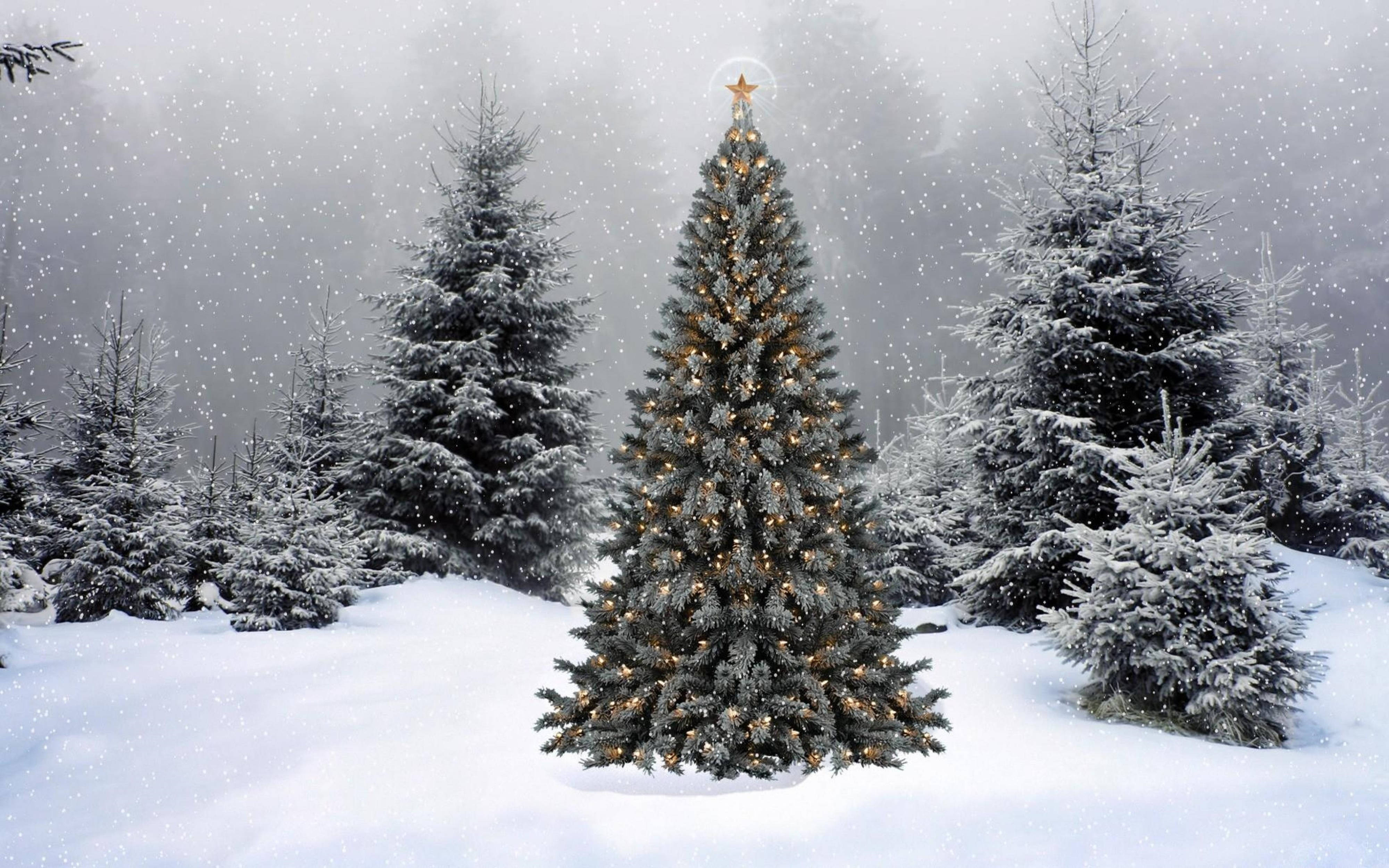 Navidad 4K Ultra HD minimalista Fondos de pantalla