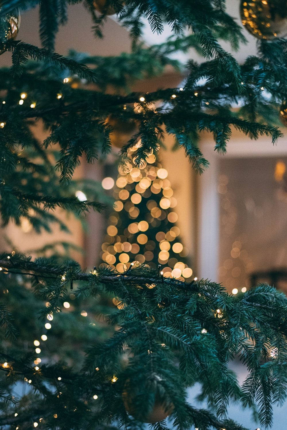 Navidad Árbol Festivo Primer Plano Fondos de pantalla