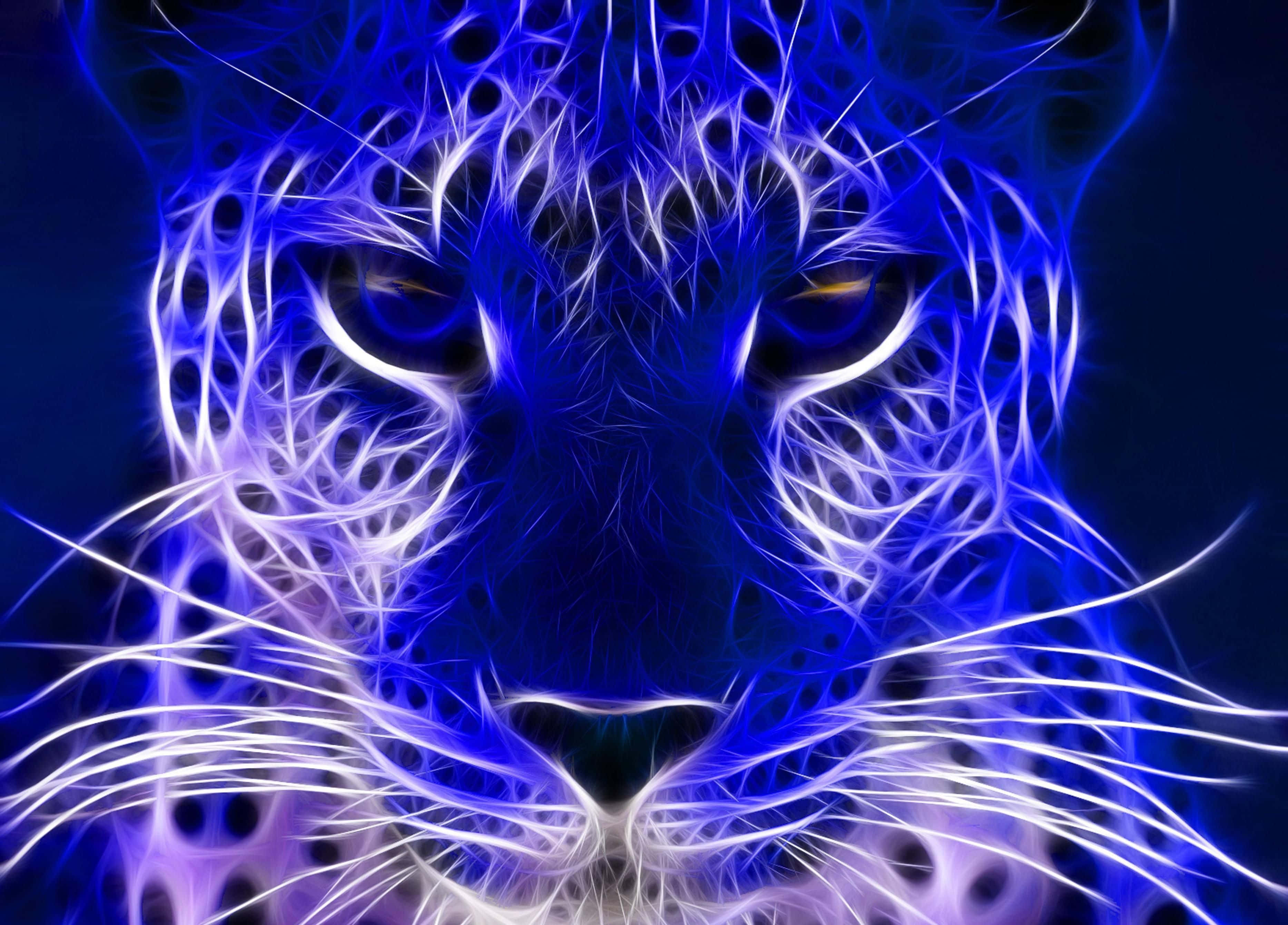 Neón Azul Animal Leopardo Fondos de pantalla