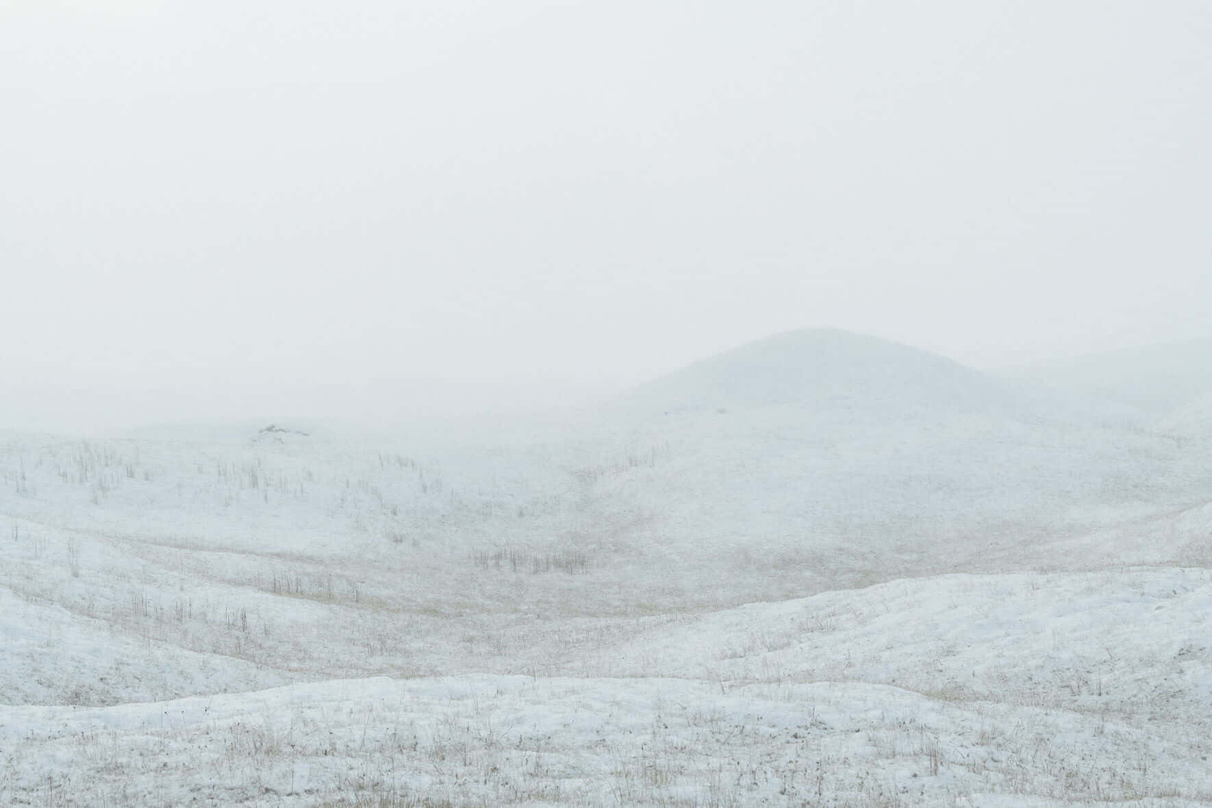 Nieve blanca y brillante crea un entorno tranquilo. Fondos de pantalla