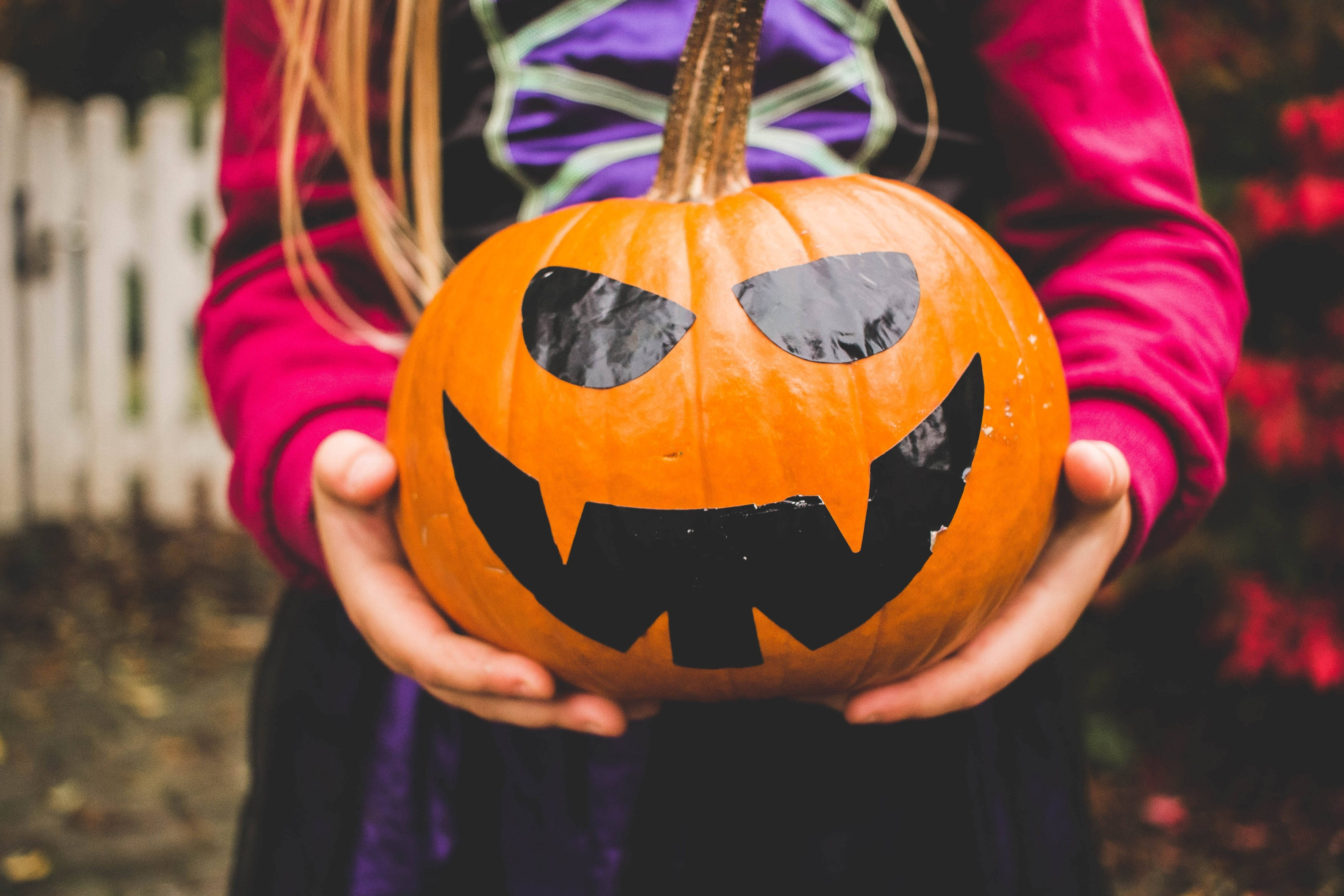 Niña linda de Halloween con calabaza Fondos de pantalla