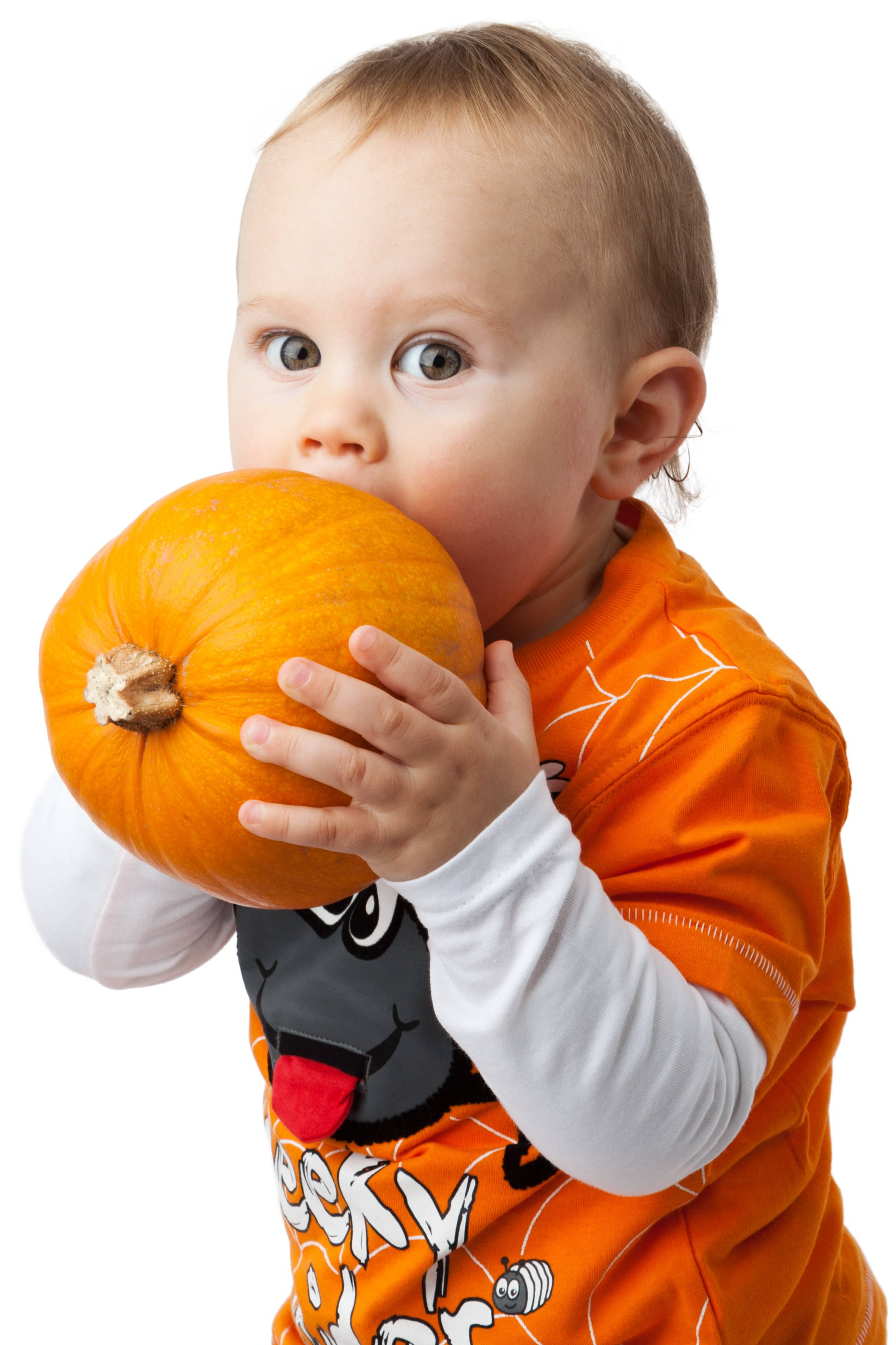 Niño Lindo de Halloween con Calabaza Fondos de pantalla