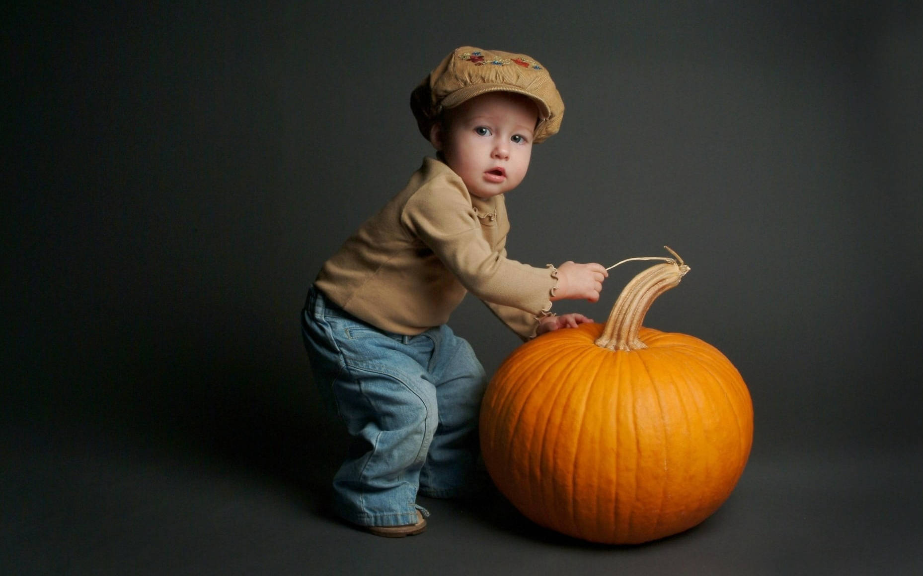 Niño Pequeño de Halloween Sobre Calabaza Fondos de pantalla