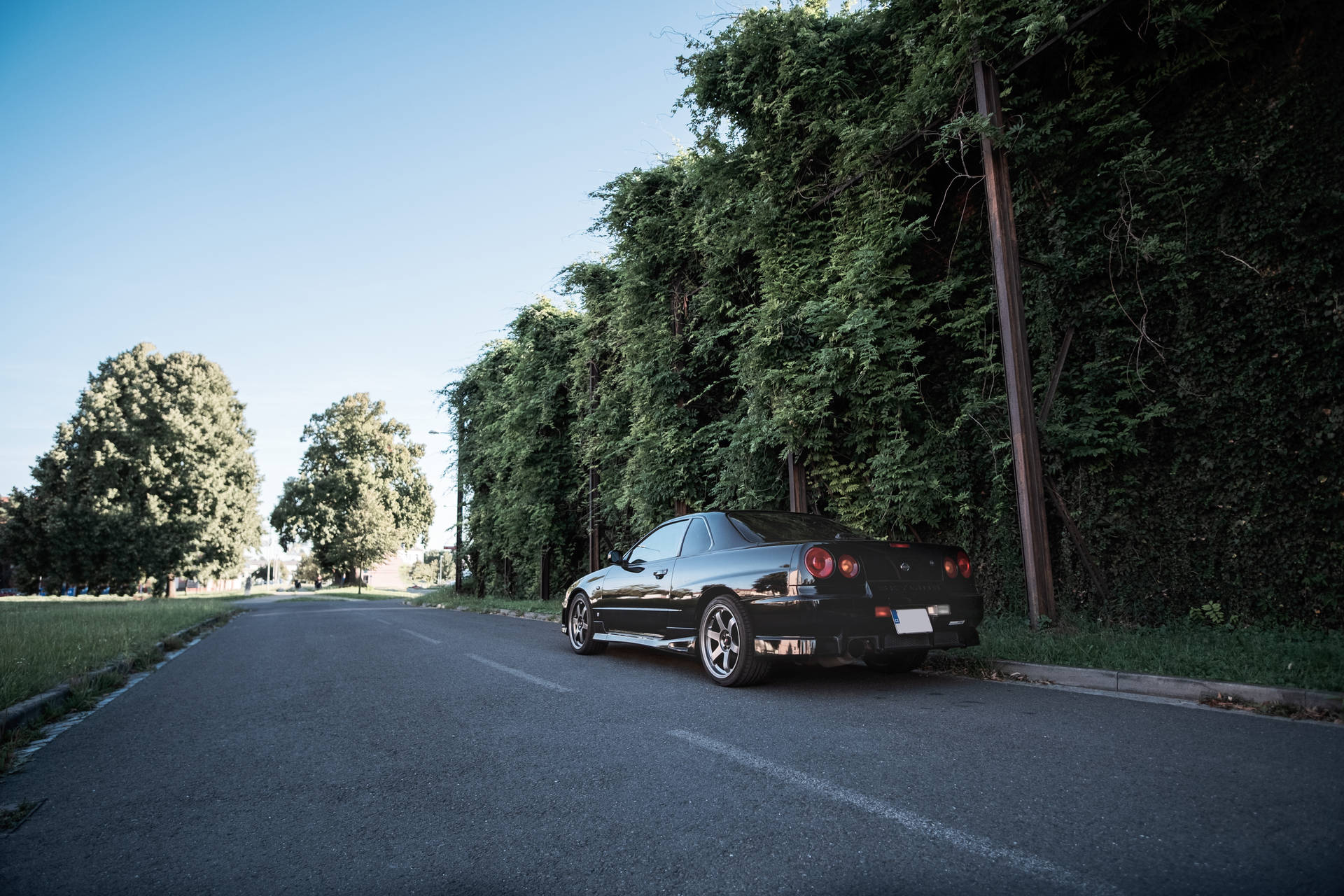 coupé negro en la carretera cerca de árboles verdes durante el día