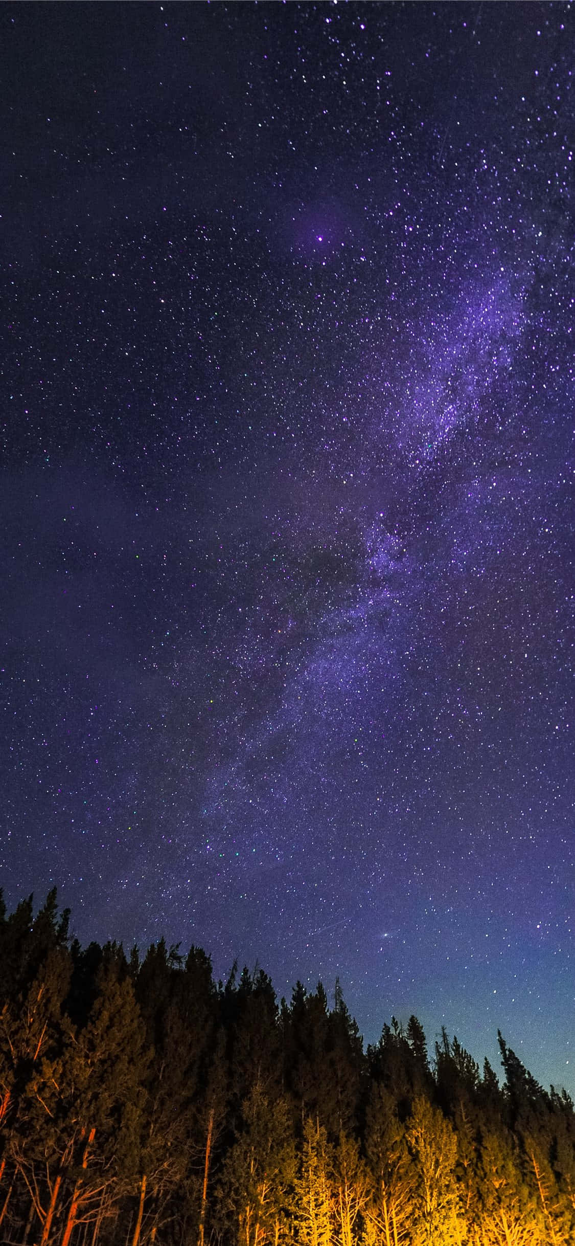 Noche_ Estrellada_ Sobre_ Bosque.JPG Fondos de pantalla