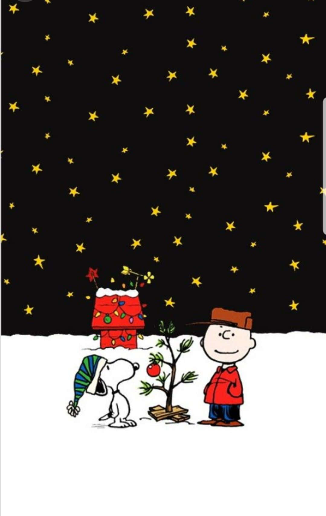 Noche estrellada de Navidad de Charlie Brown Fondos de pantalla