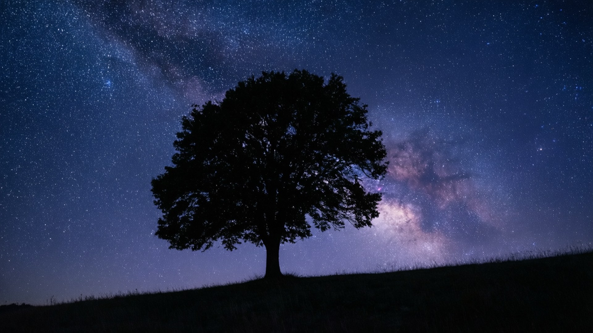 Noche Estrellada del Árbol Solitario Fondos de pantalla