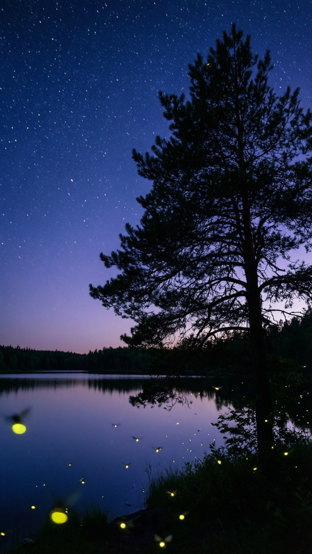 Noche Estrellada de Verano Fondos de pantalla