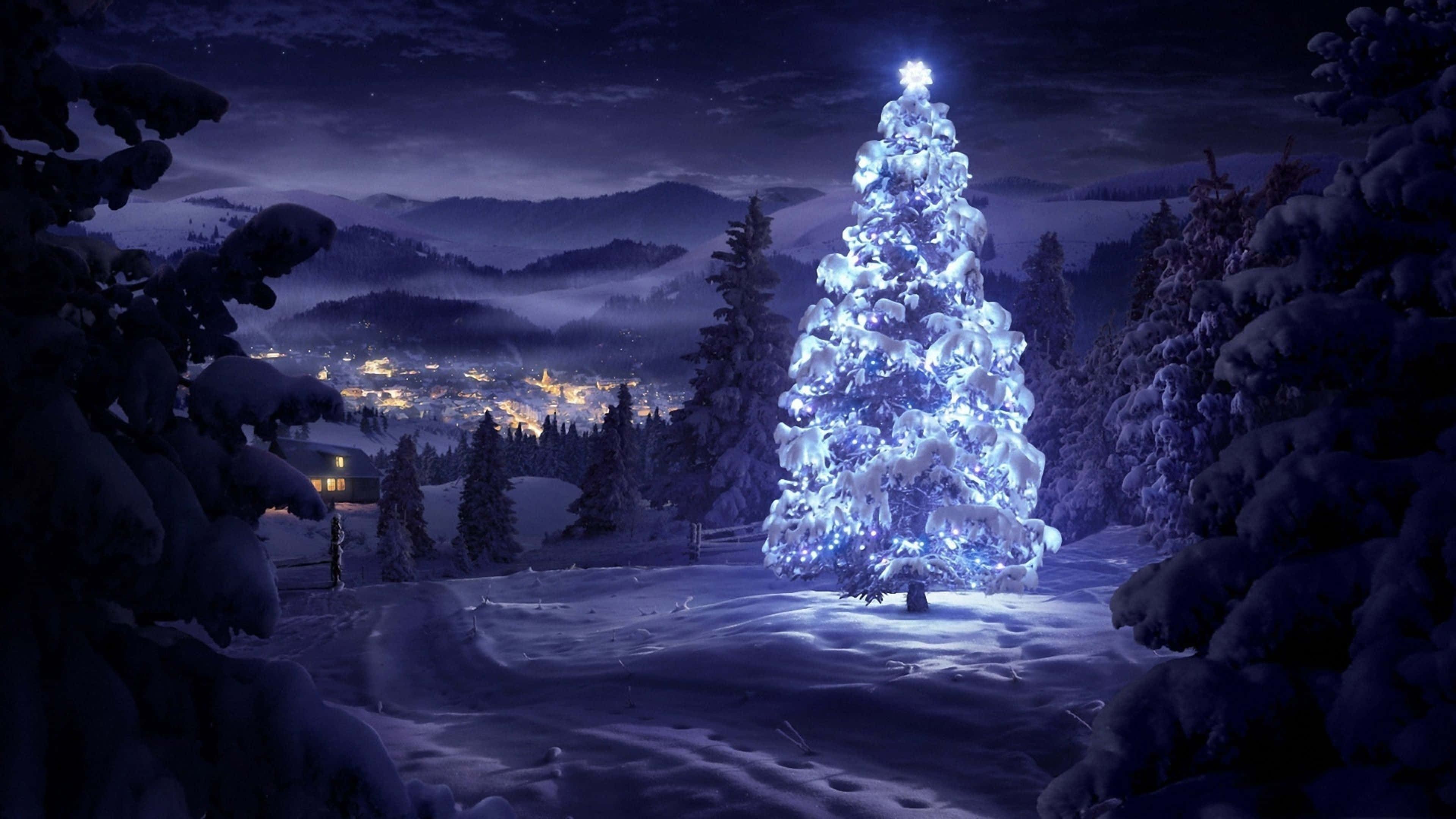Nochebuena fresca con árbol de Navidad blanco Fondos de pantalla