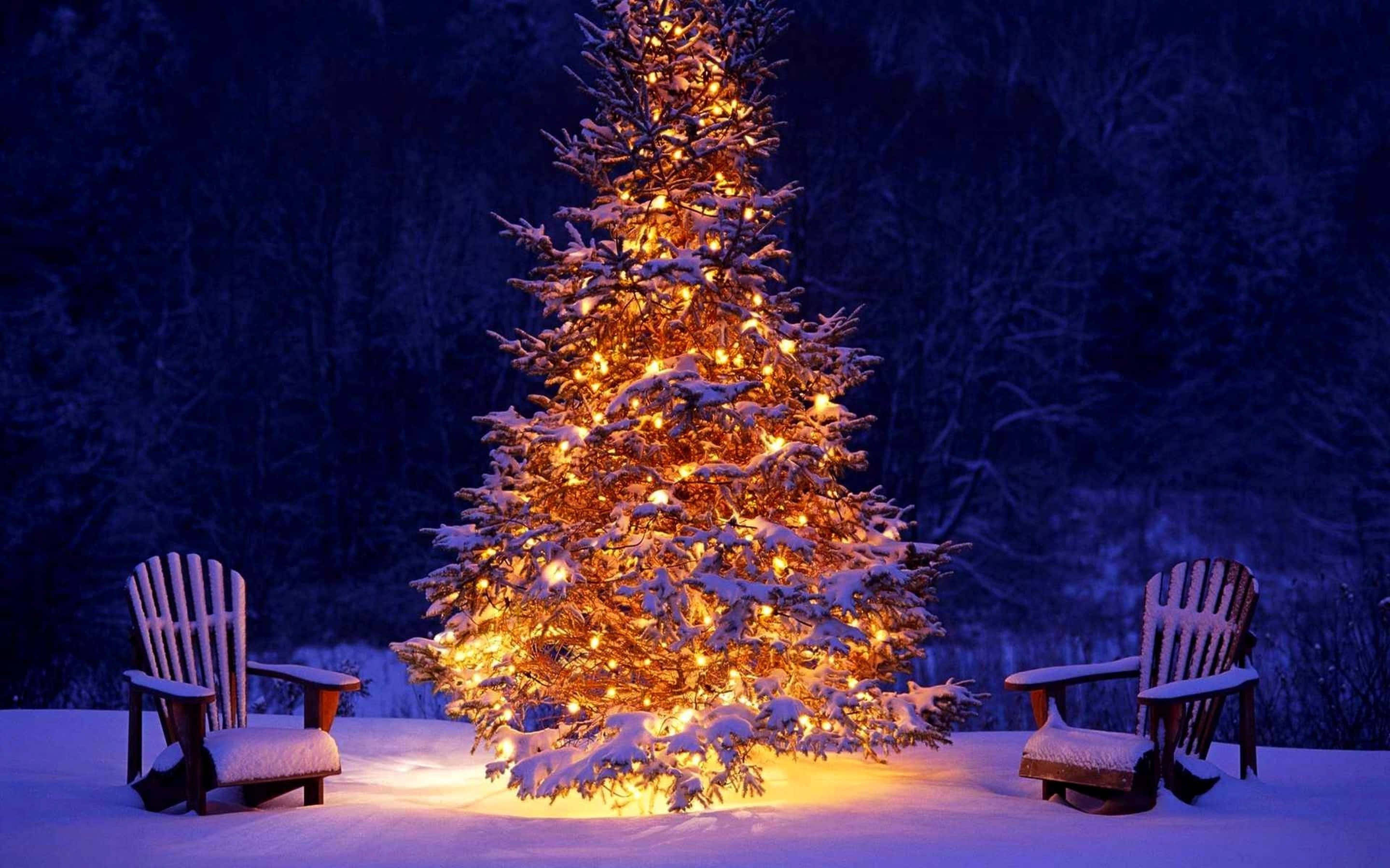 Nochebuena genial con árbol y sillas Fondos de pantalla