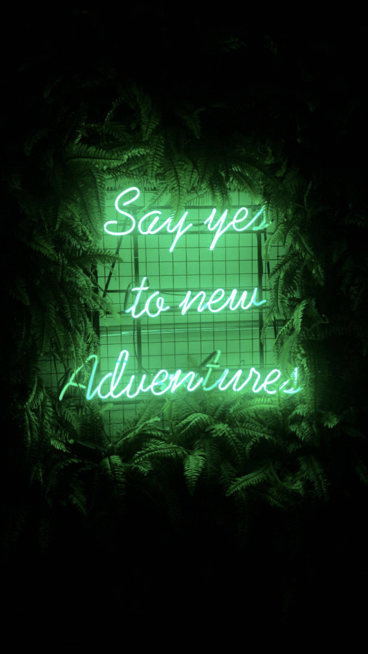 Nuevas Aventuras Estética Verde Claro Fondos de pantalla