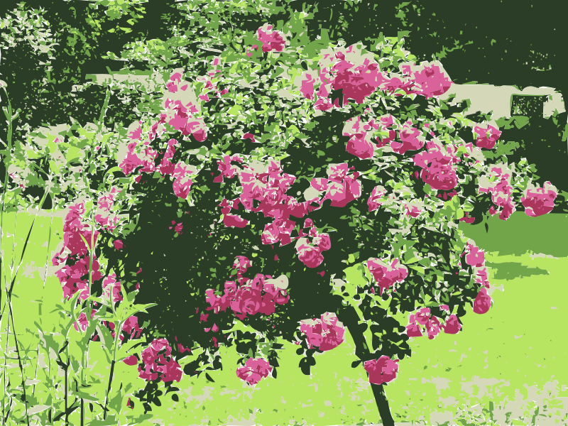Obra de arte de arbusto de rosas vibrante Fondos de pantalla