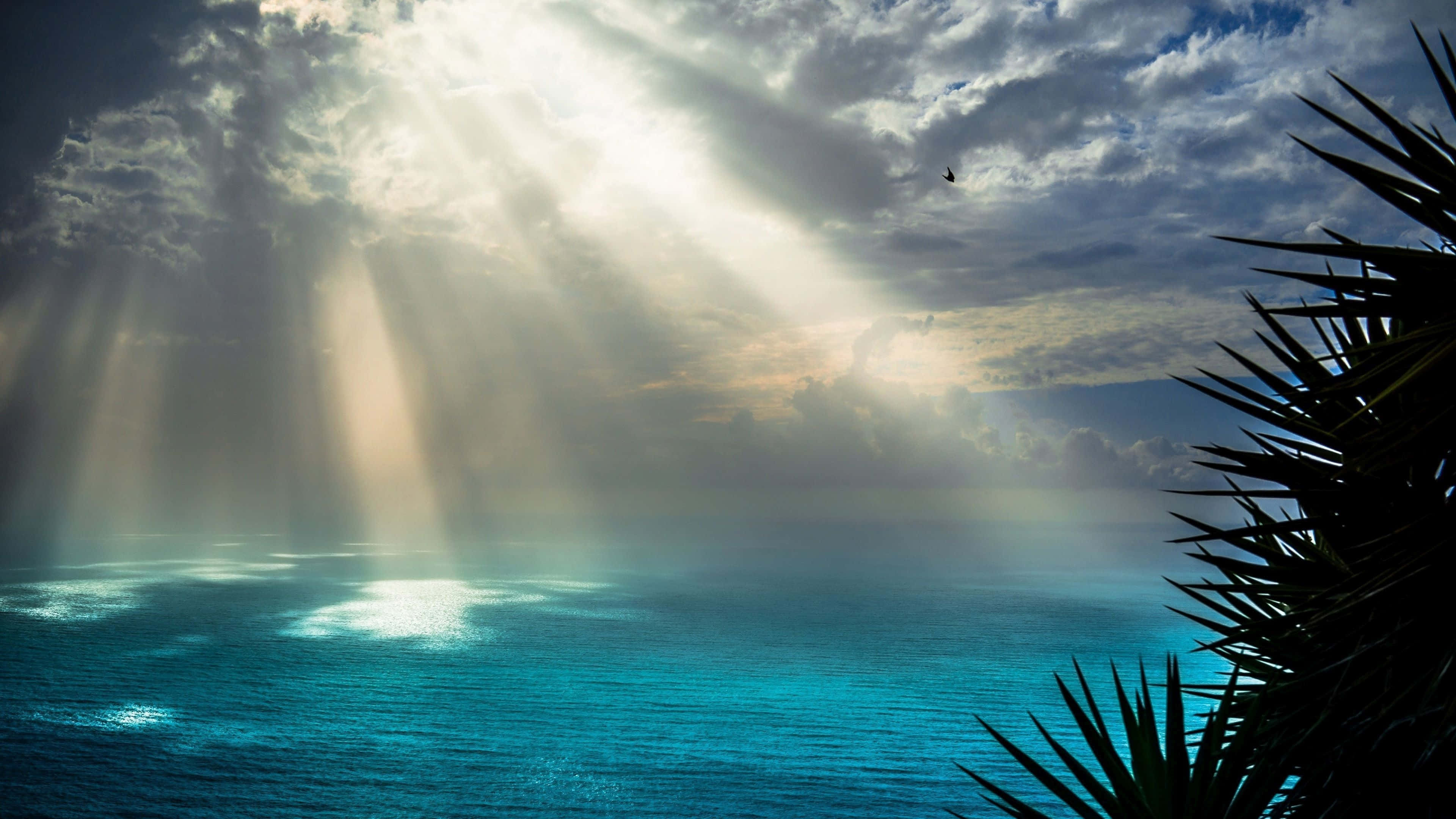 Océano azul con rayos de sol Fondos de pantalla