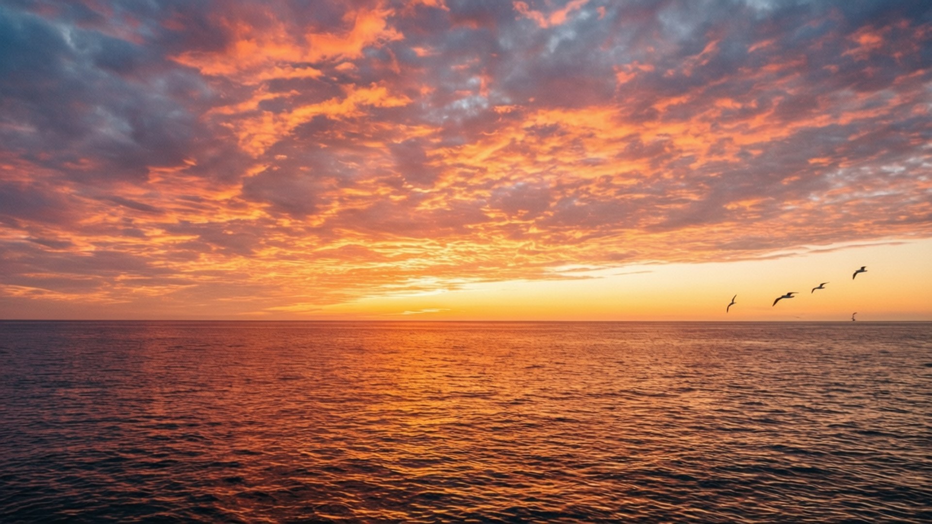 Océano Cielo Atardecer Fondos de pantalla