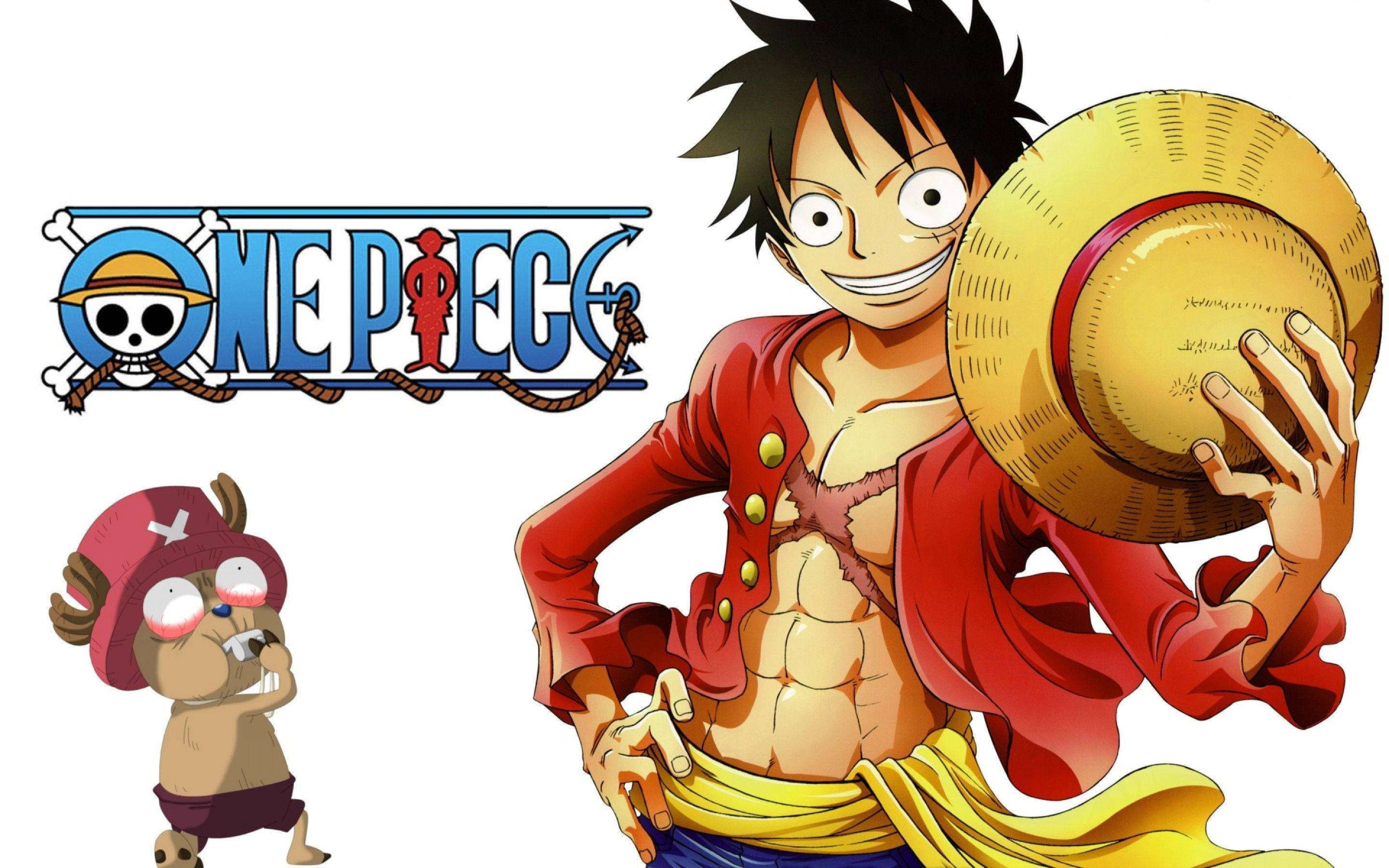 One Piece Luffy y Tony Chopper Fondos de pantalla