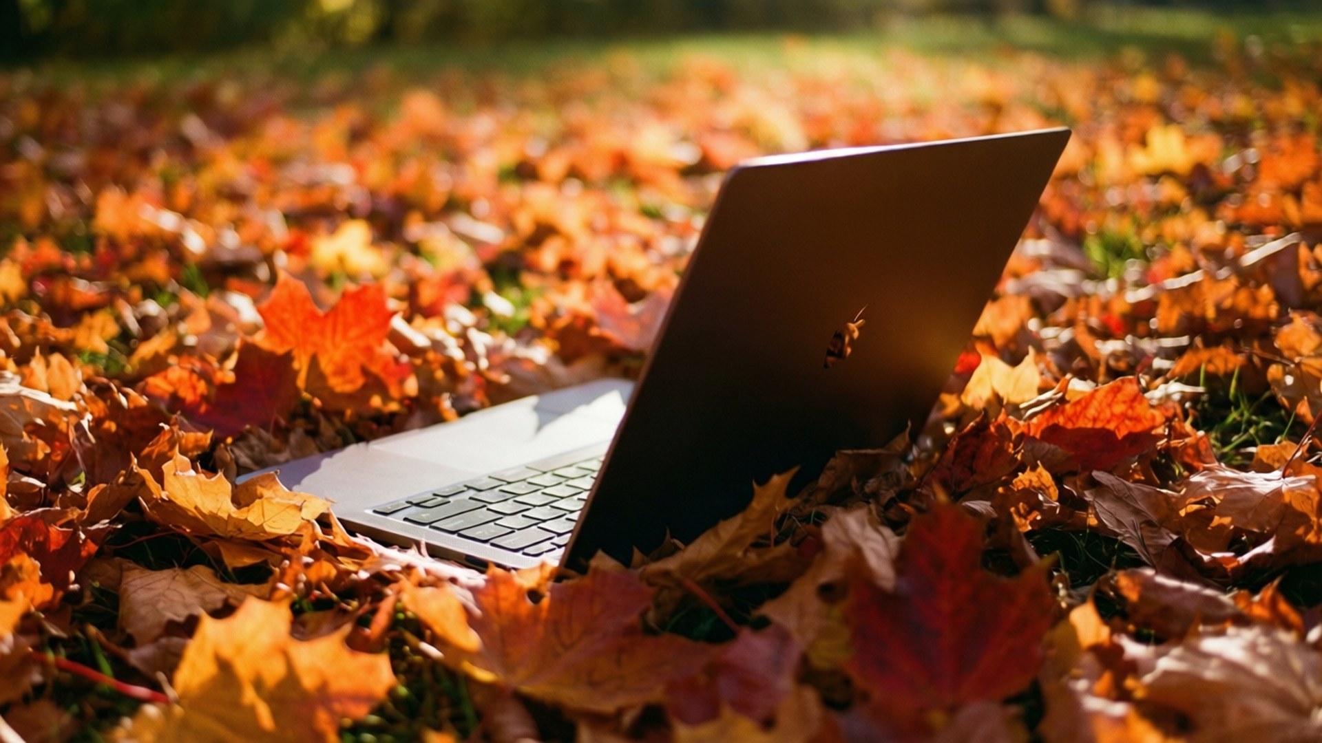 Otoño Chromebook Acogedor Fondos de pantalla