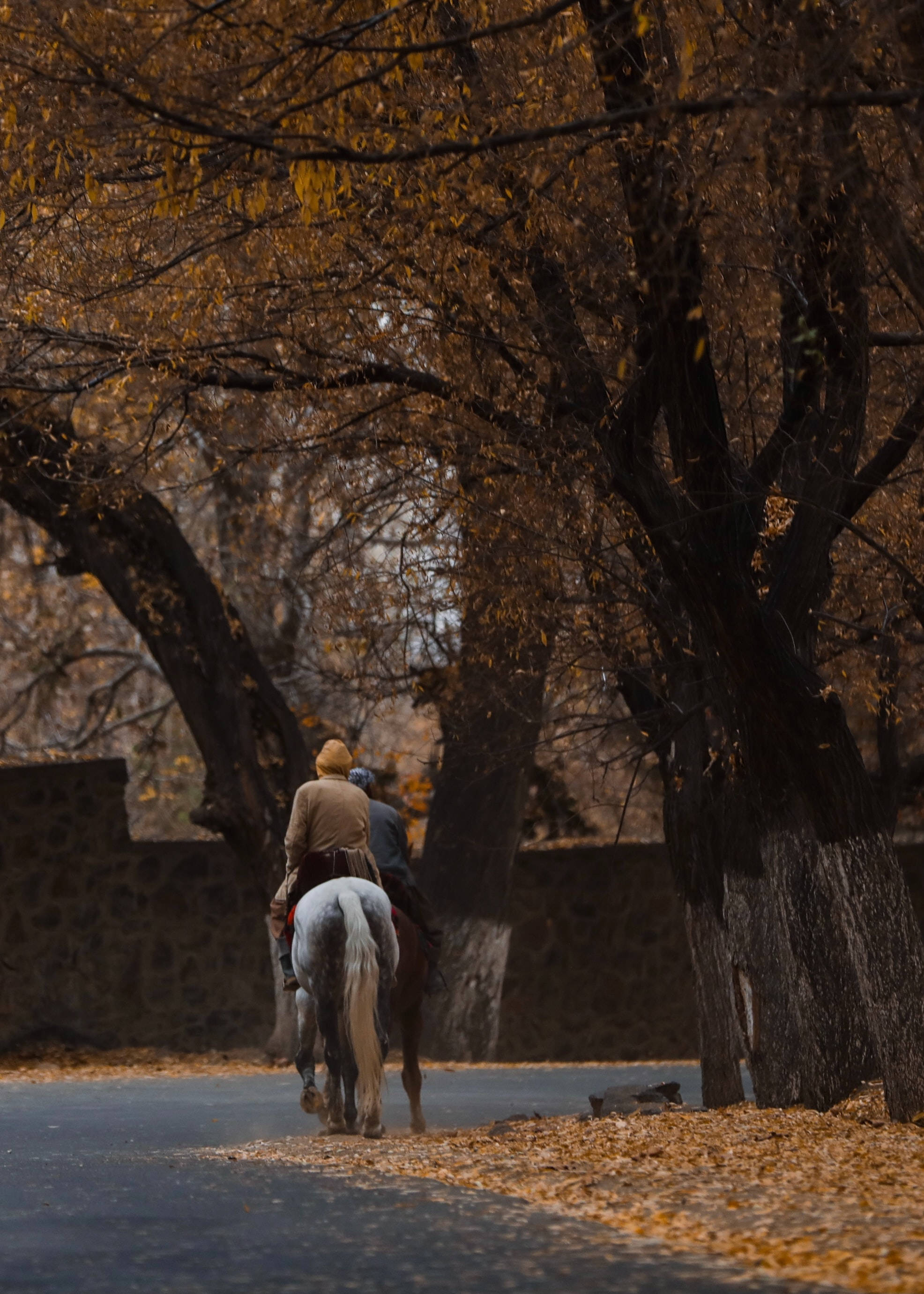 Otoño en Kabul Fondos de pantalla