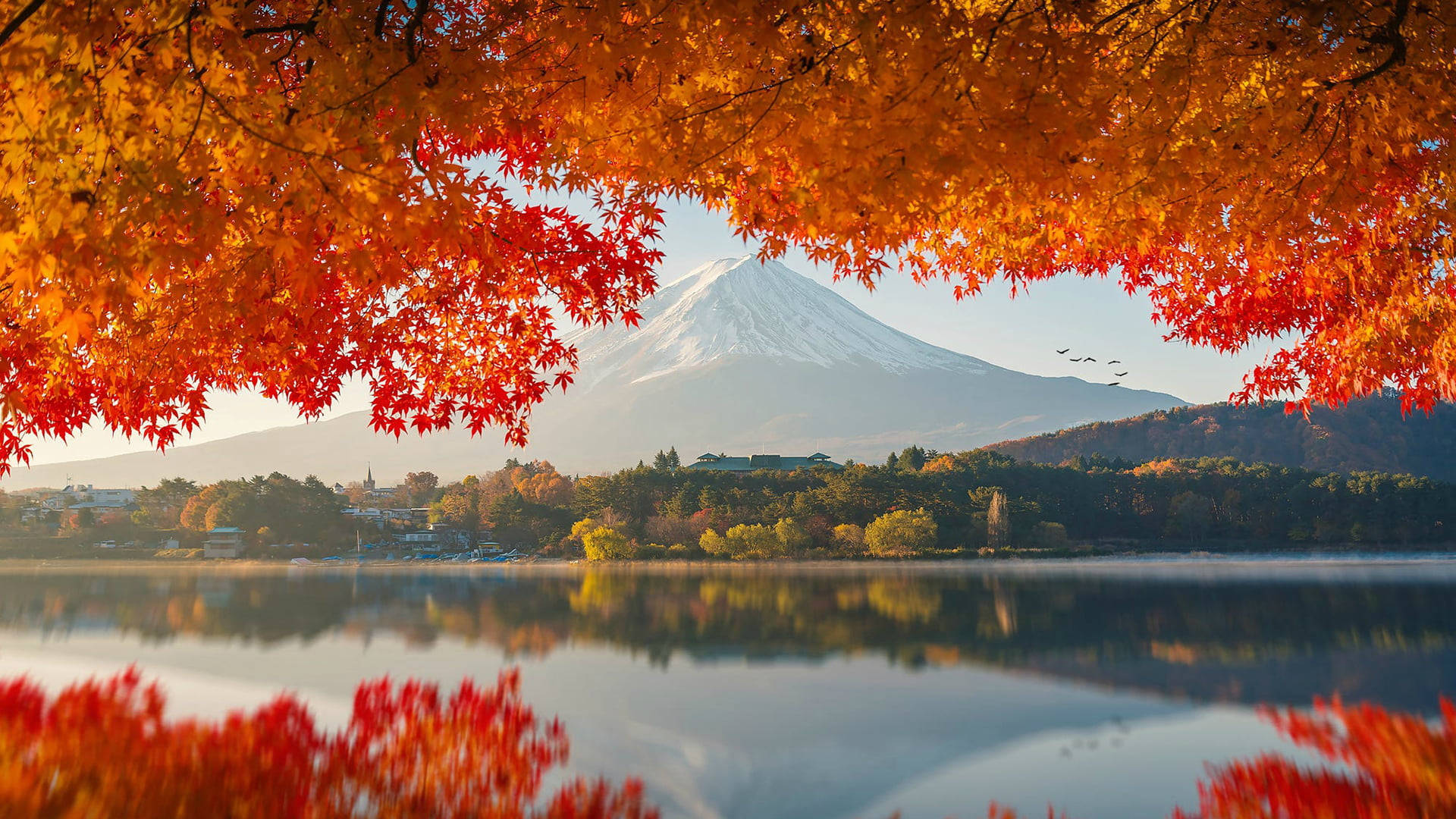 Otoño MacBook Monte Fuji Fondos de pantalla