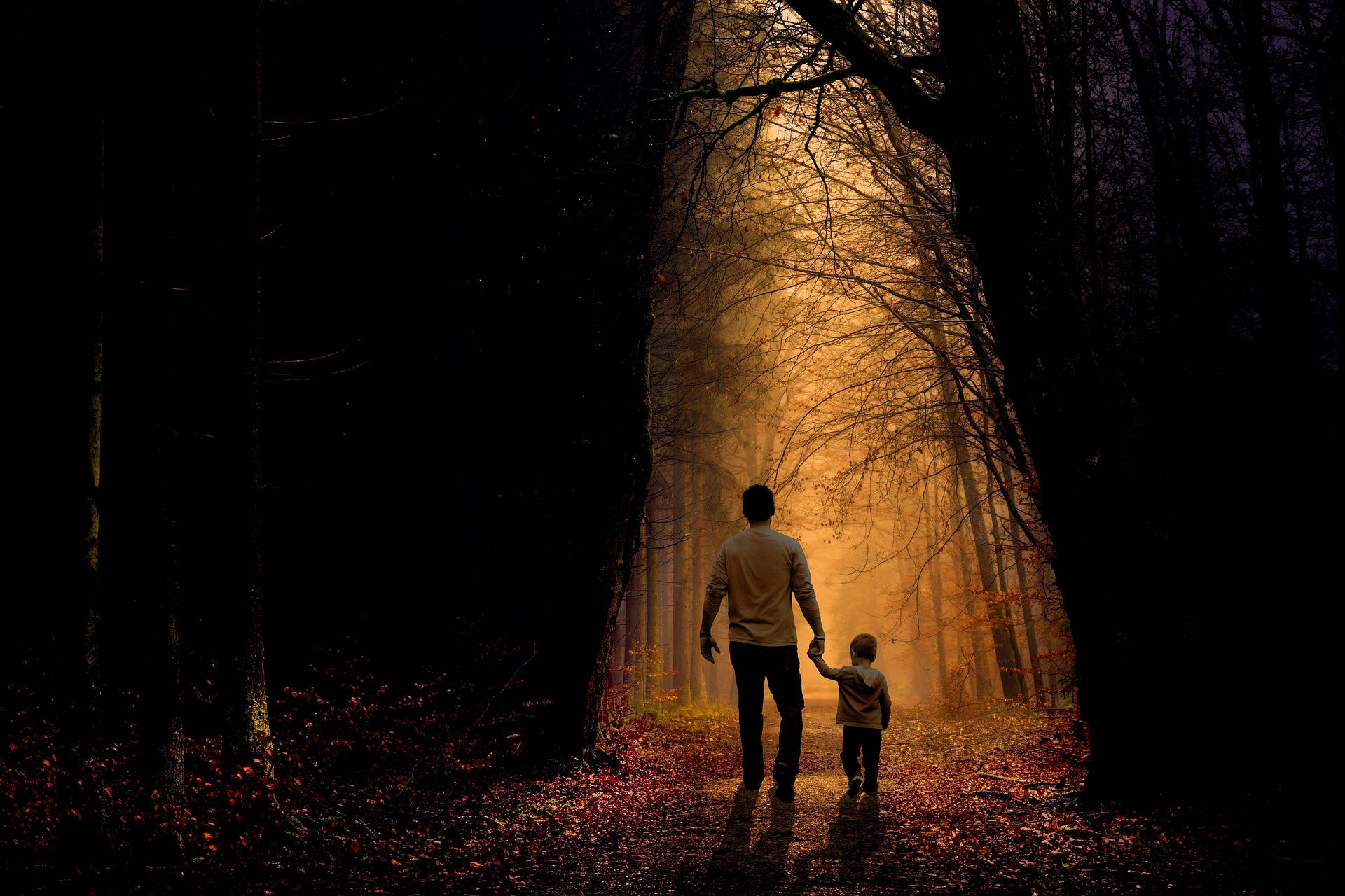 Padre e hijo en el bosque Fondos de pantalla