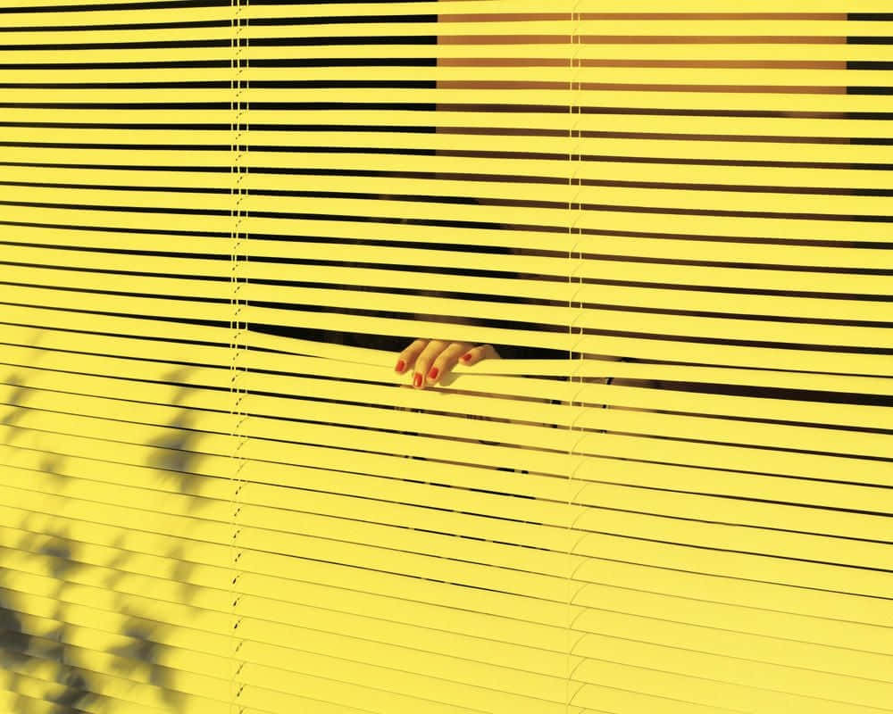 Paisaje Amarillo Estético Cautivador Fondos de pantalla