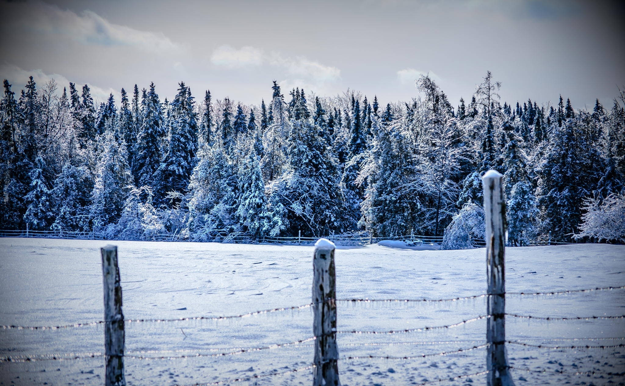 Paisaje de Cerca Invernal Fondos de pantalla