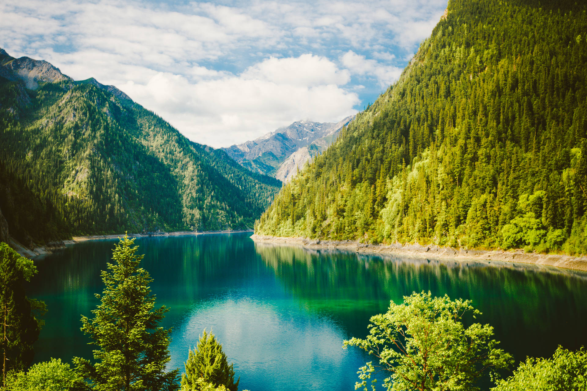 Fondo de pantalla de Paisaje de Naturaleza Verde