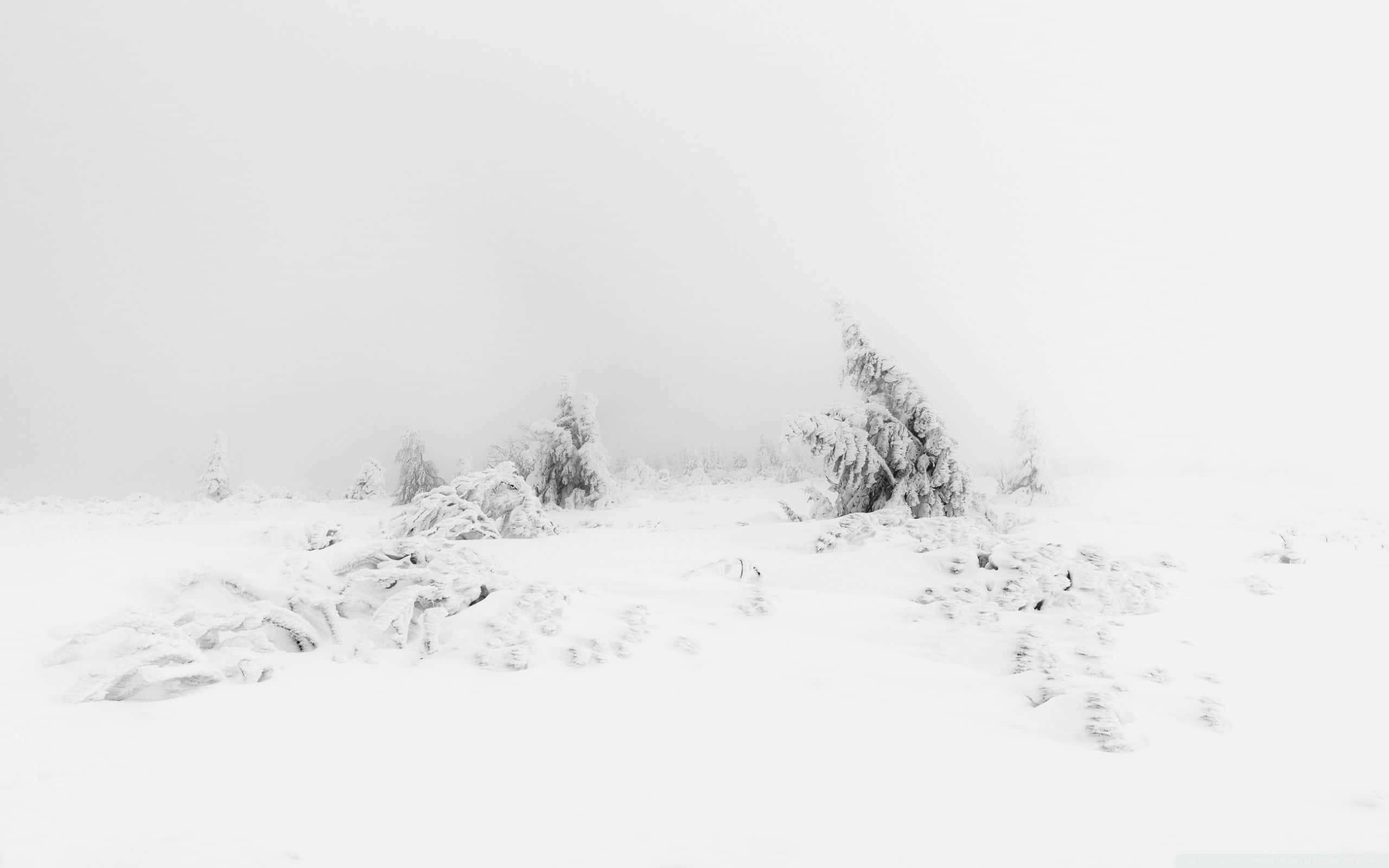 Paisaje estético blanco suave Fondos de pantalla