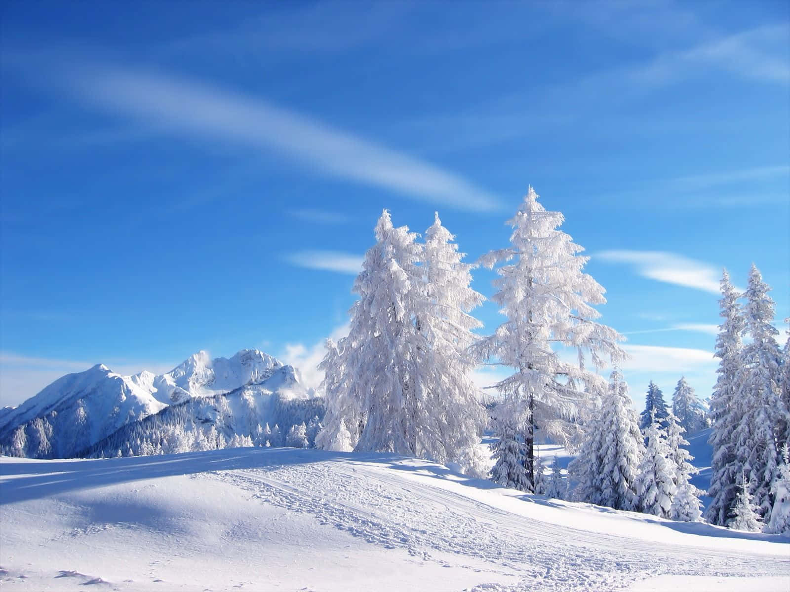 Paisaje invernal de nieve en Rusia Fondos de pantalla