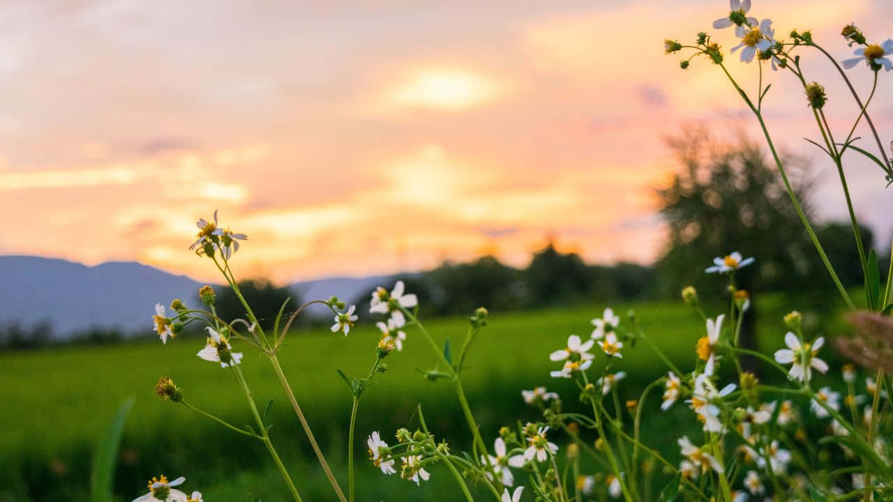 Paisaje Montañoso Majestuoso al Atardecer Fondos de pantalla