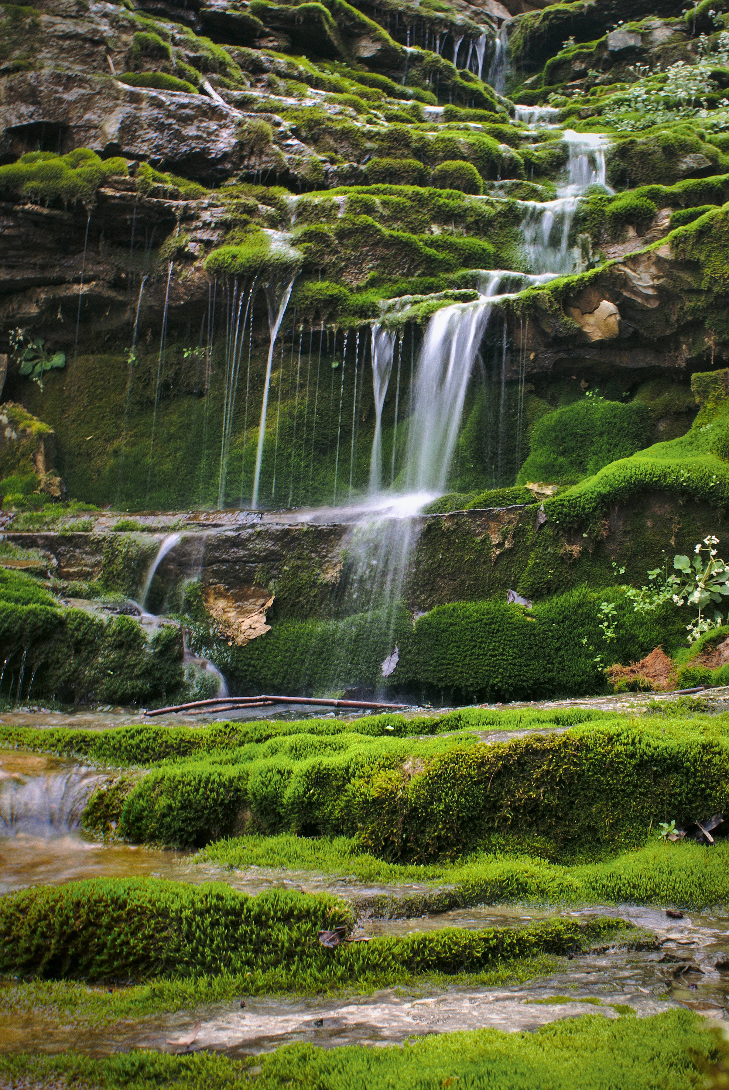 Paisaje natural de Kentucky Fondos de pantalla