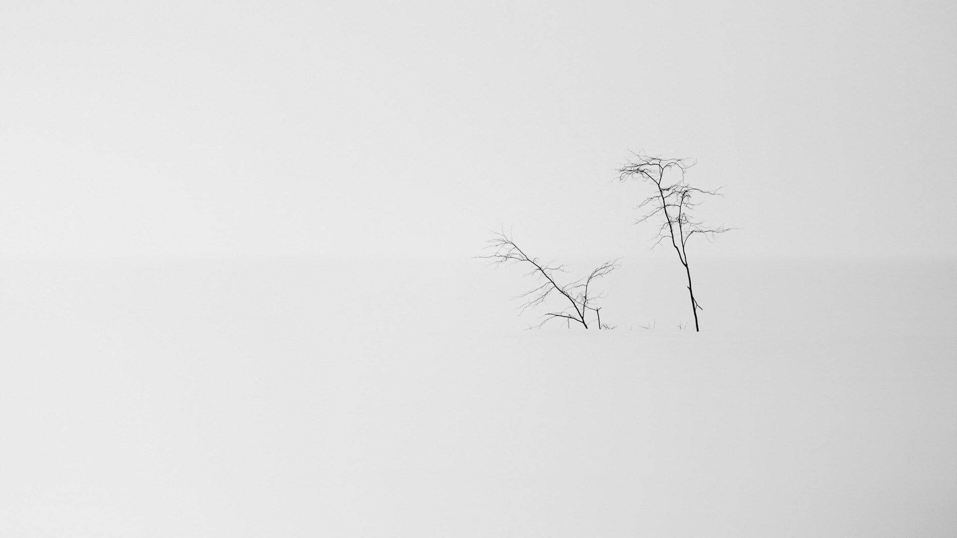 Paisaje Nevado Estético Minimalista para Laptop Fondos de pantalla