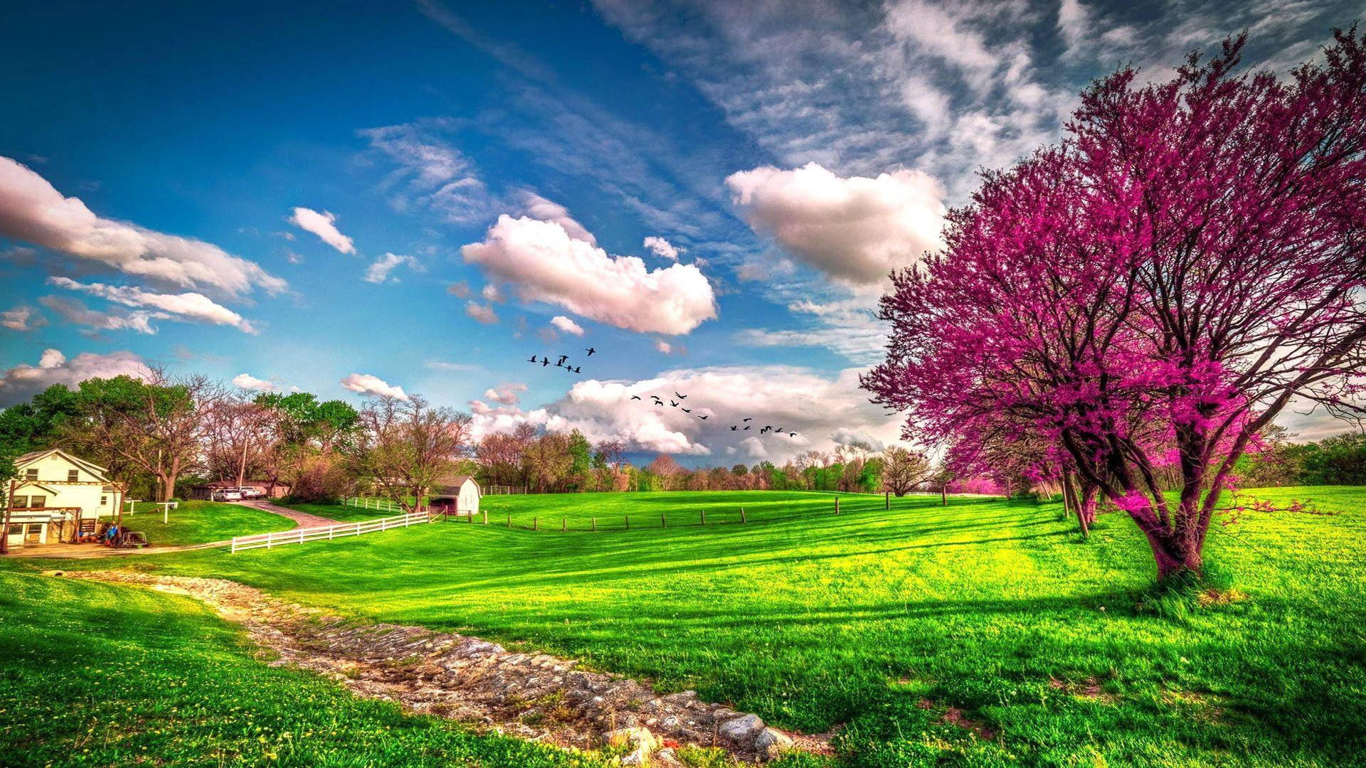 Paisaje Primaveral Más Hermoso Fondos de pantalla