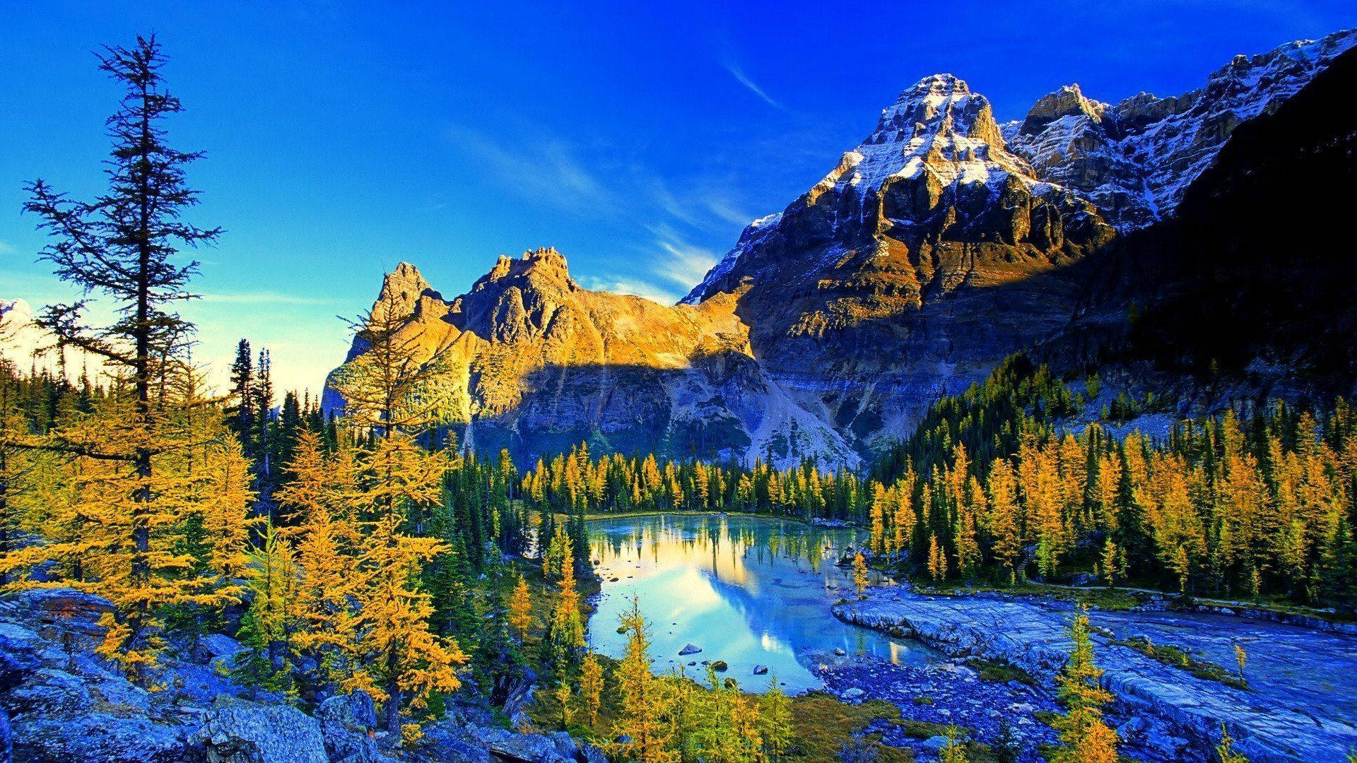 Paisaje Vívido de Naturaleza 4K Fondos de pantalla